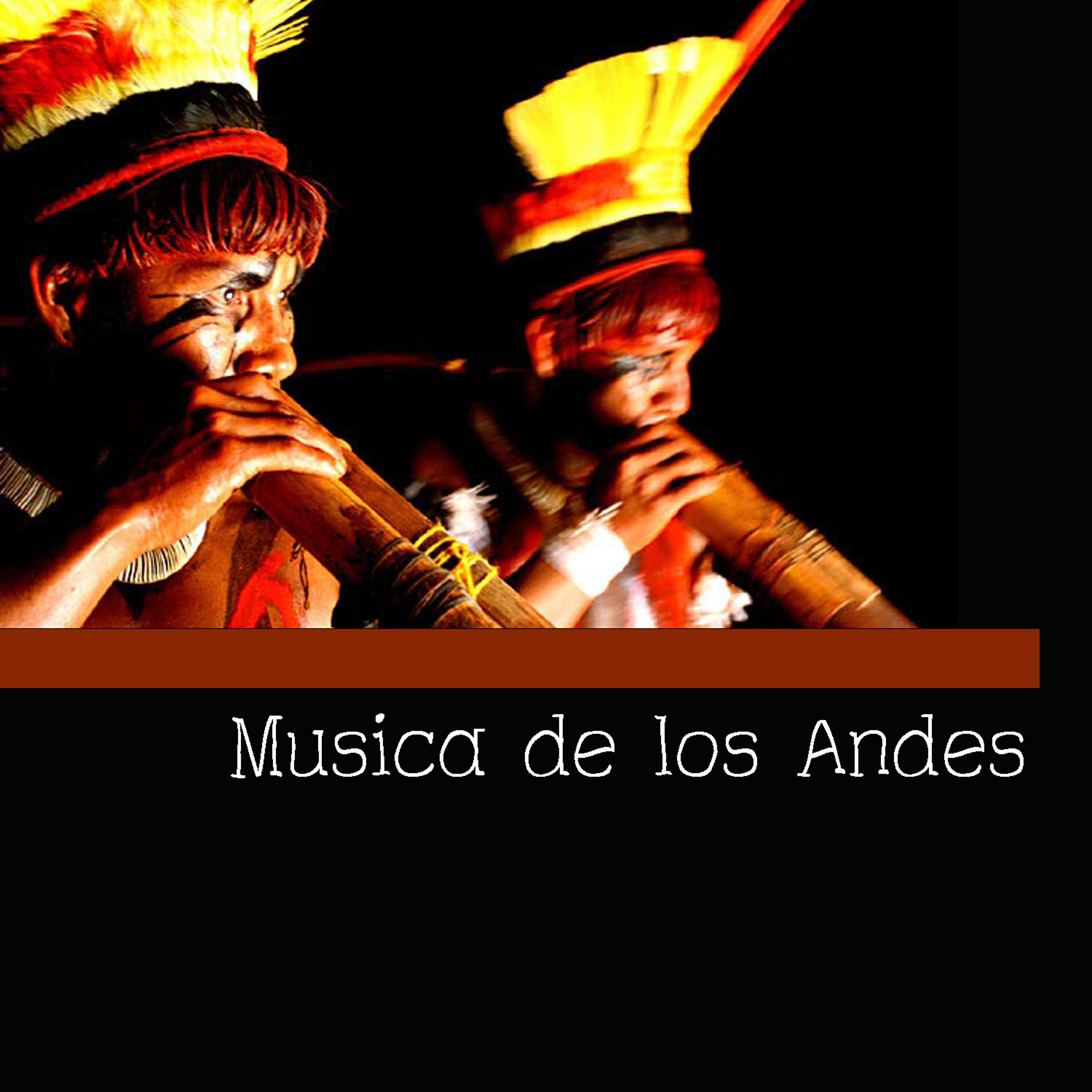 Релиз Musica de los Andes