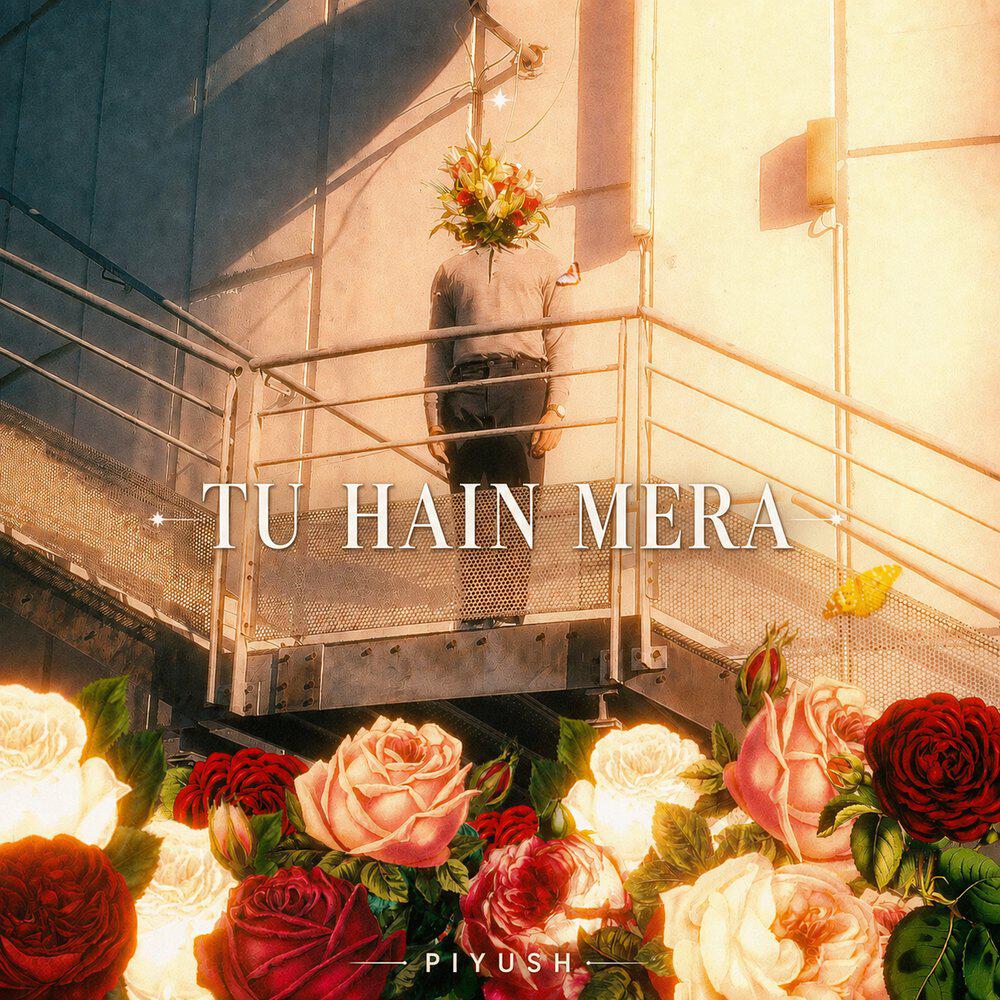 Релиз Tu Hain Mera