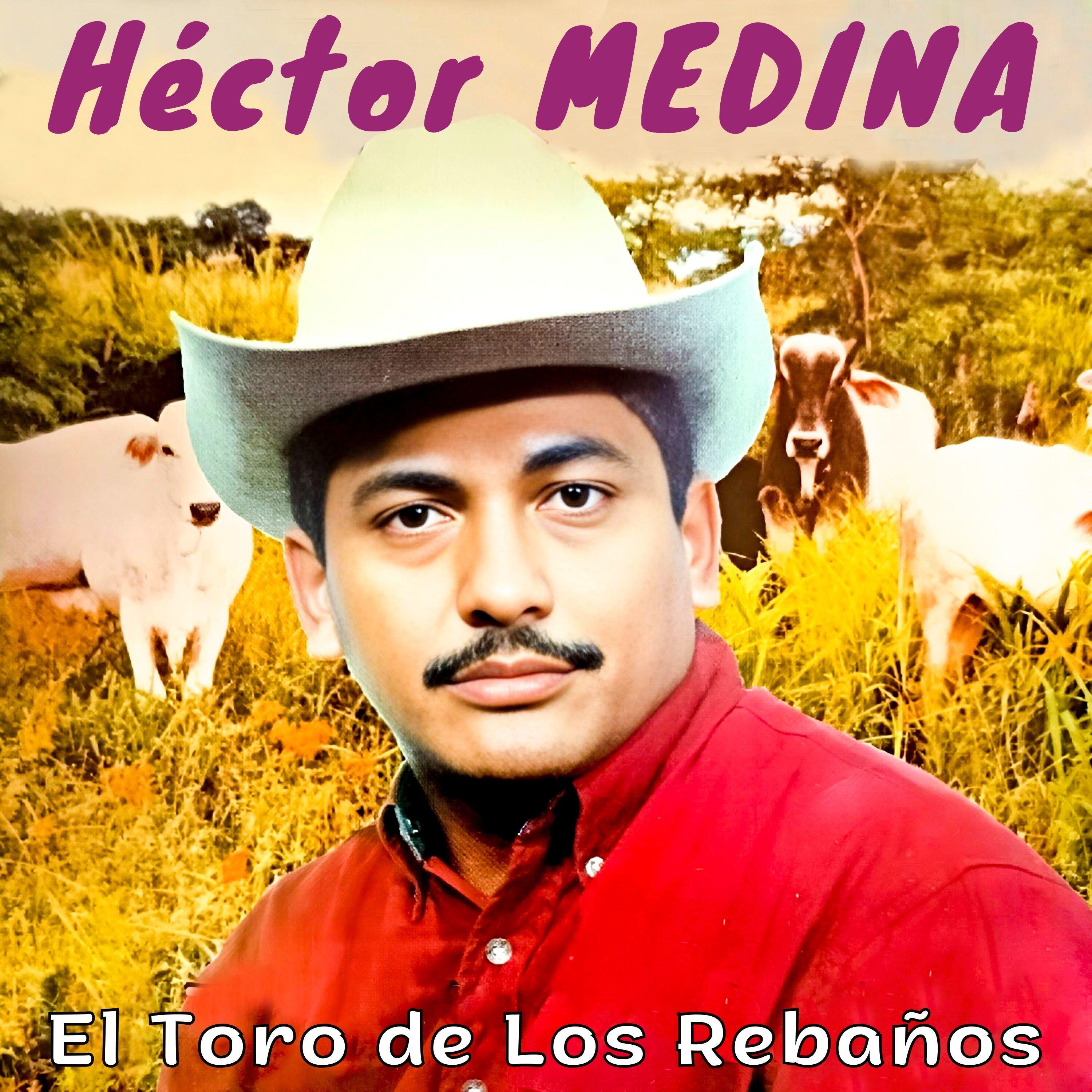 Релиз El Toro de los Rebaños