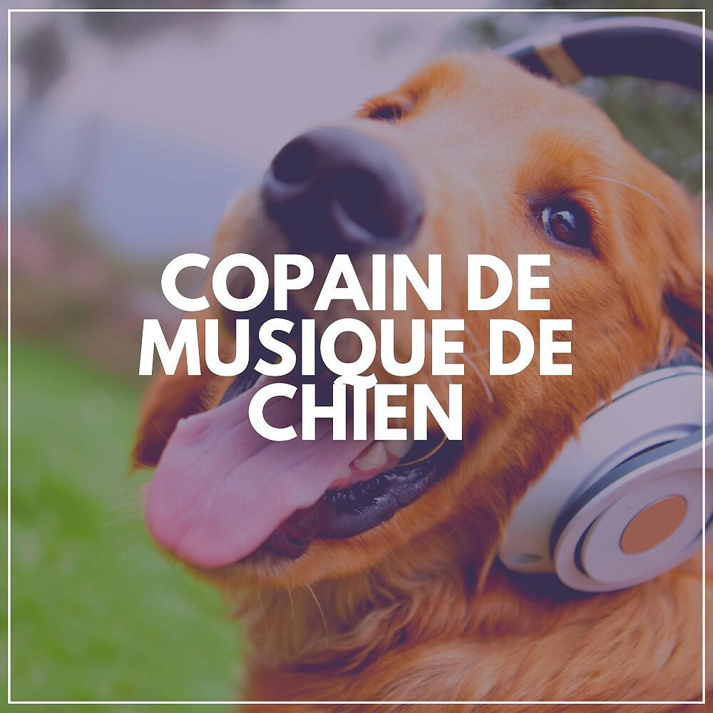 Релиз Copain de Musique de Chien
