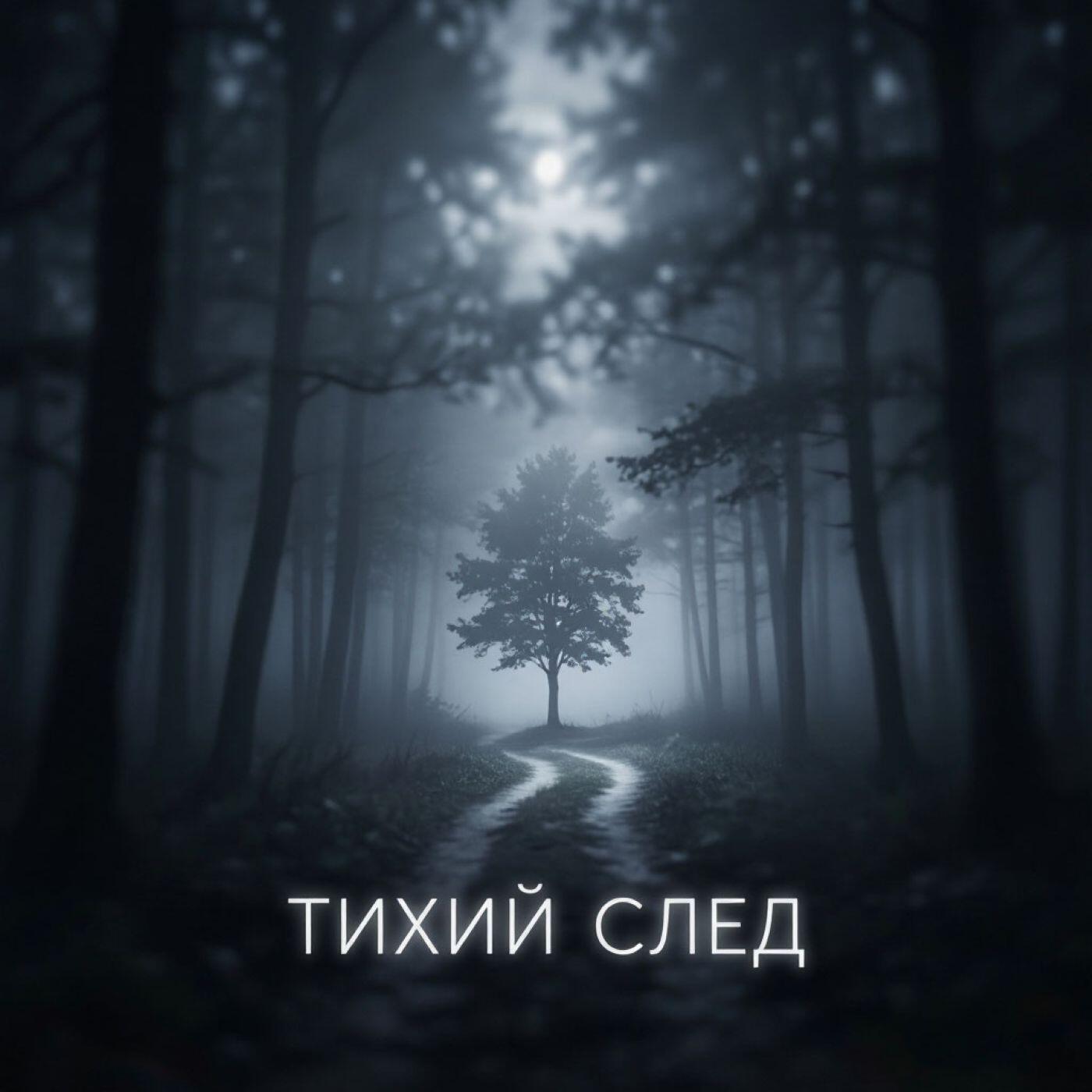Релиз Тихий след