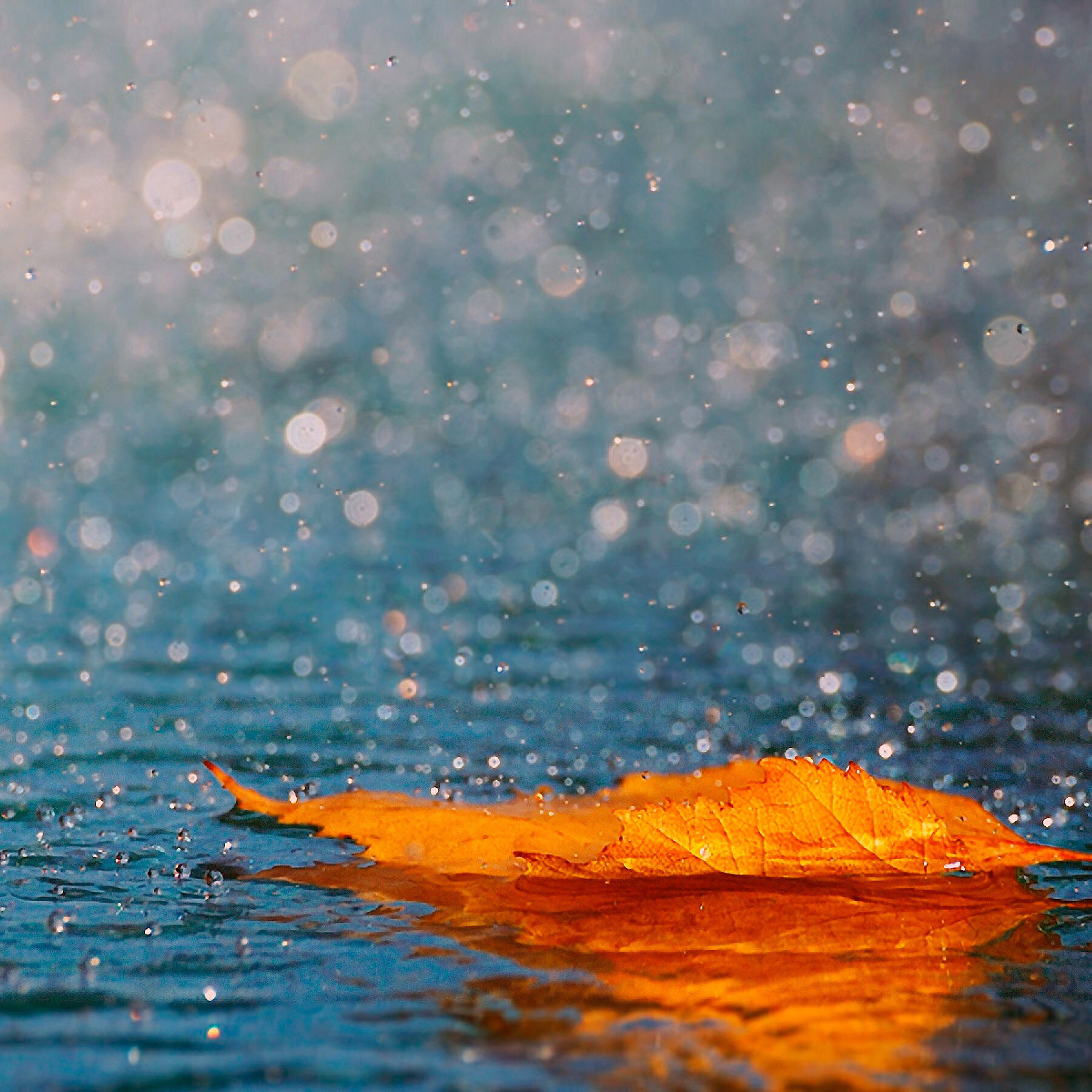 Релиз Скоро уйду