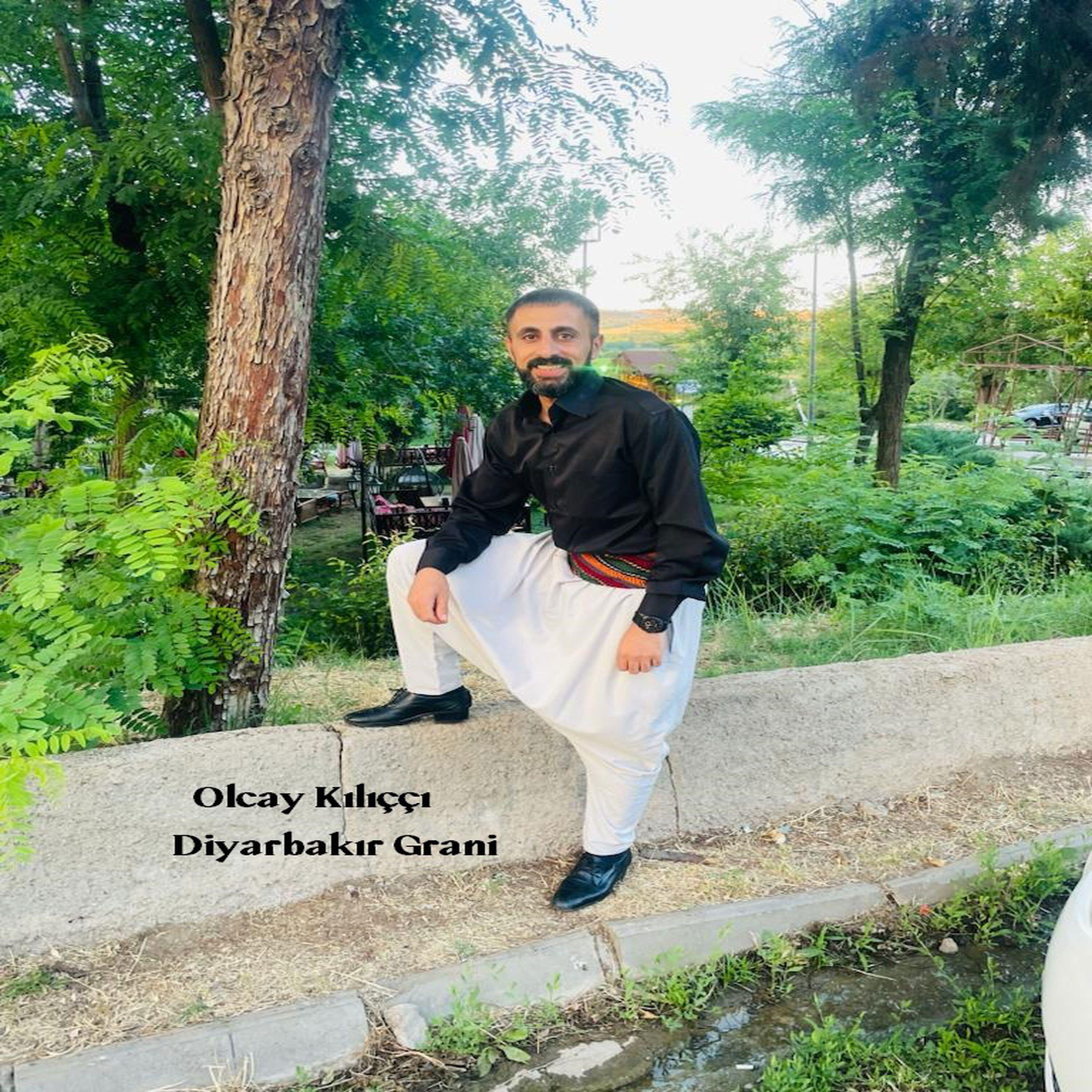 Релиз Diyarbakır Grani