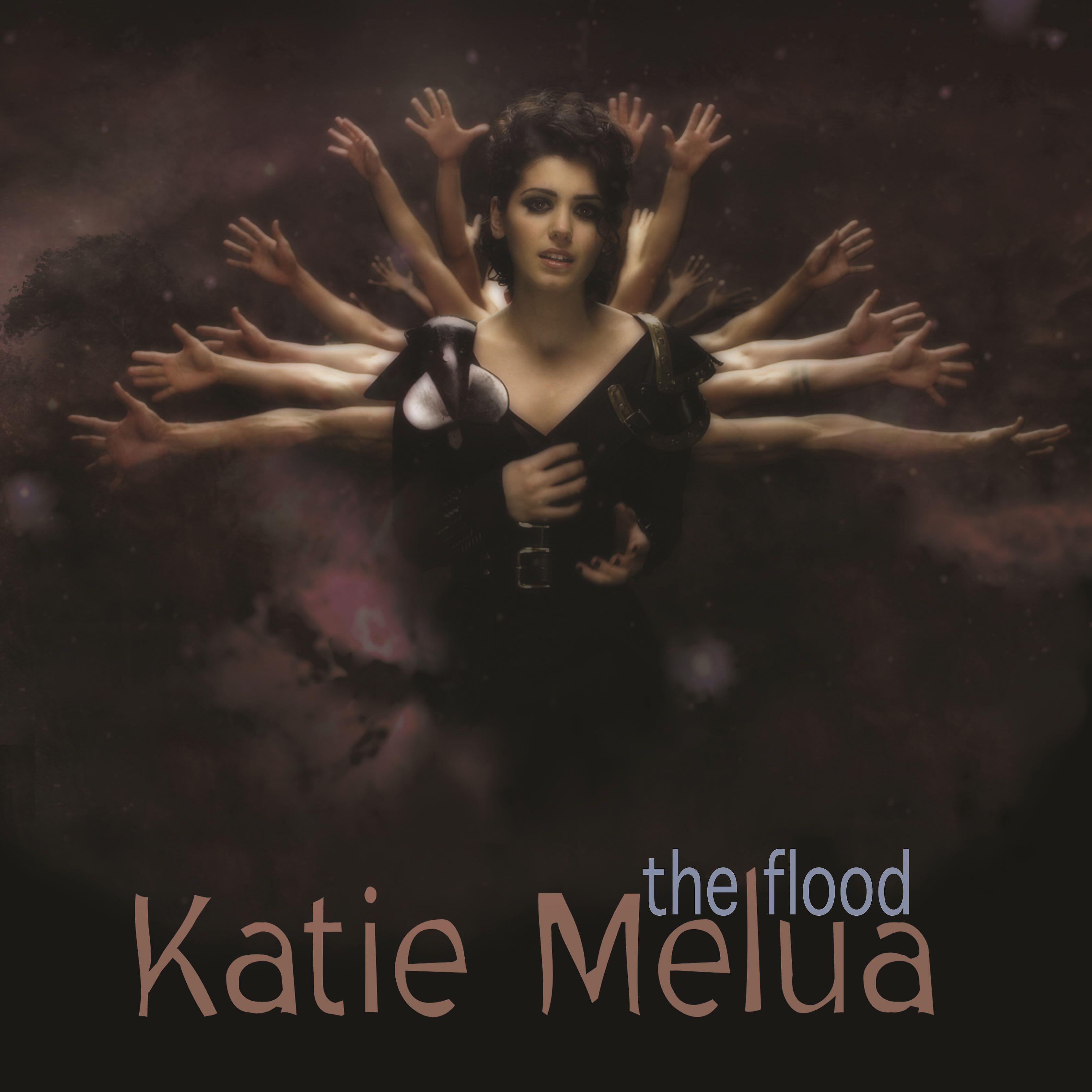 Релиз The Flood (Remixes)