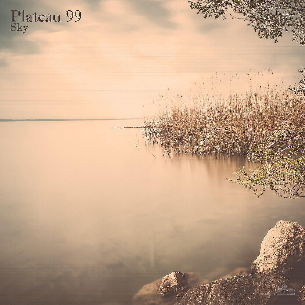 Релиз Sky