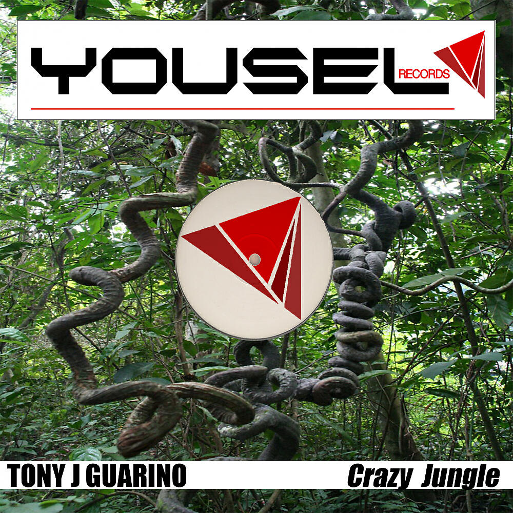 Tony J Guarino