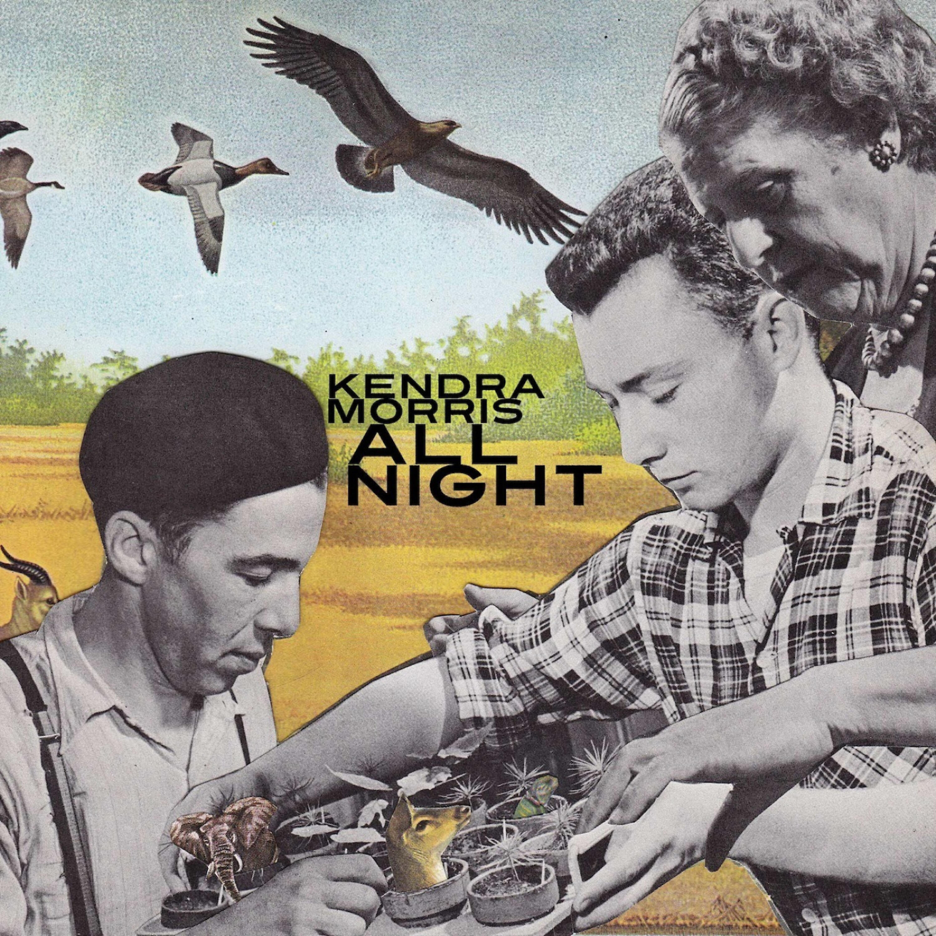 Релиз All Night
