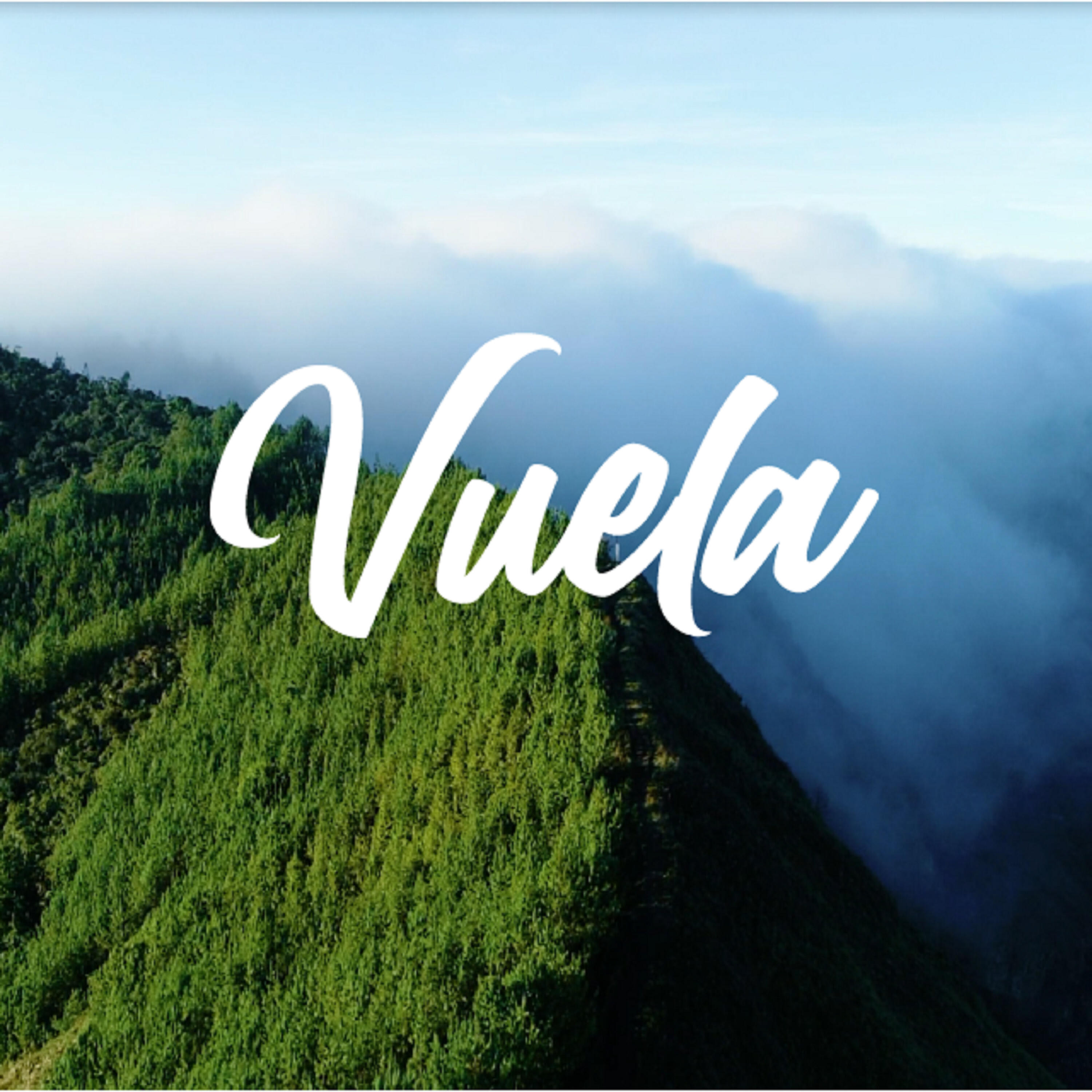 Релиз Vuela