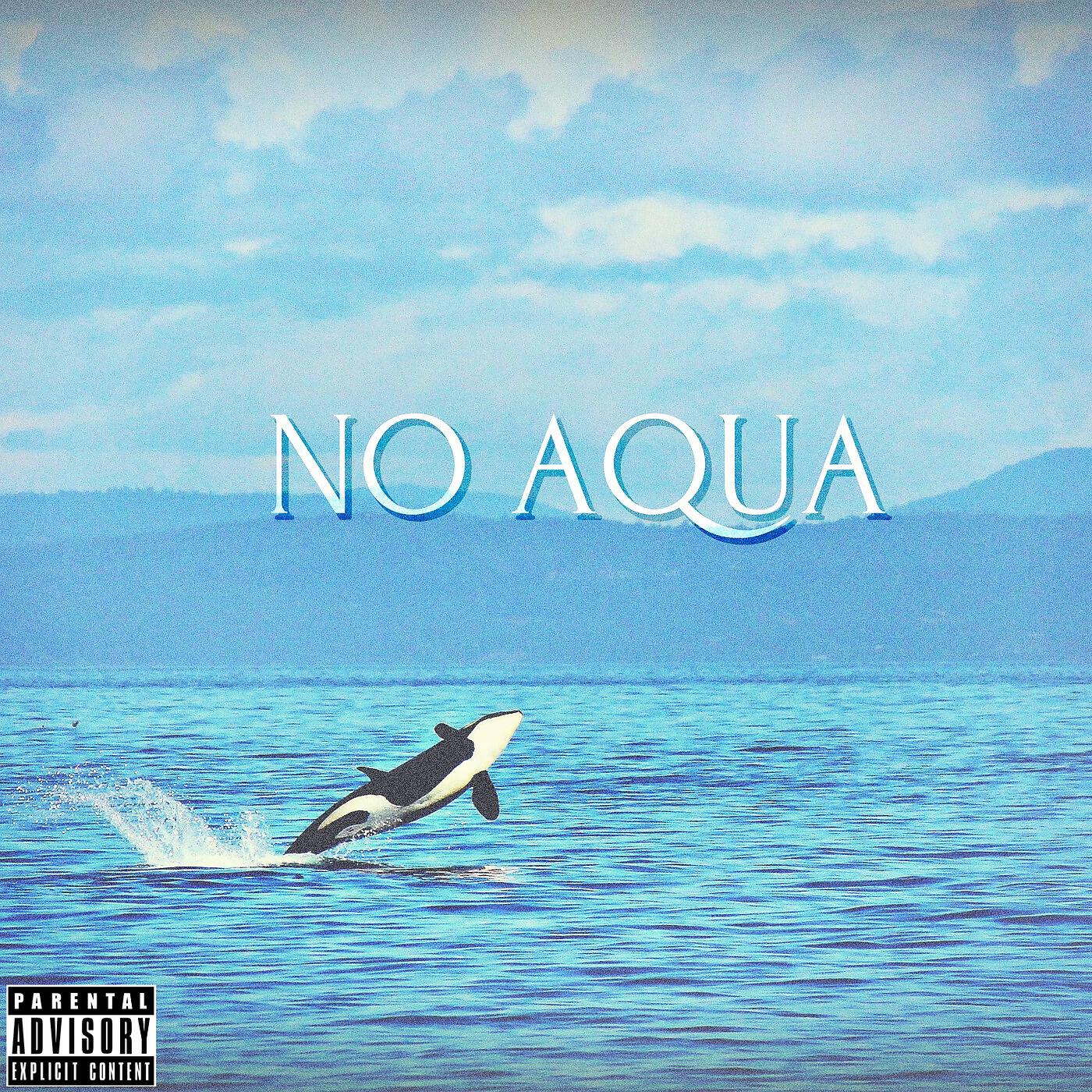Релиз No Aqua