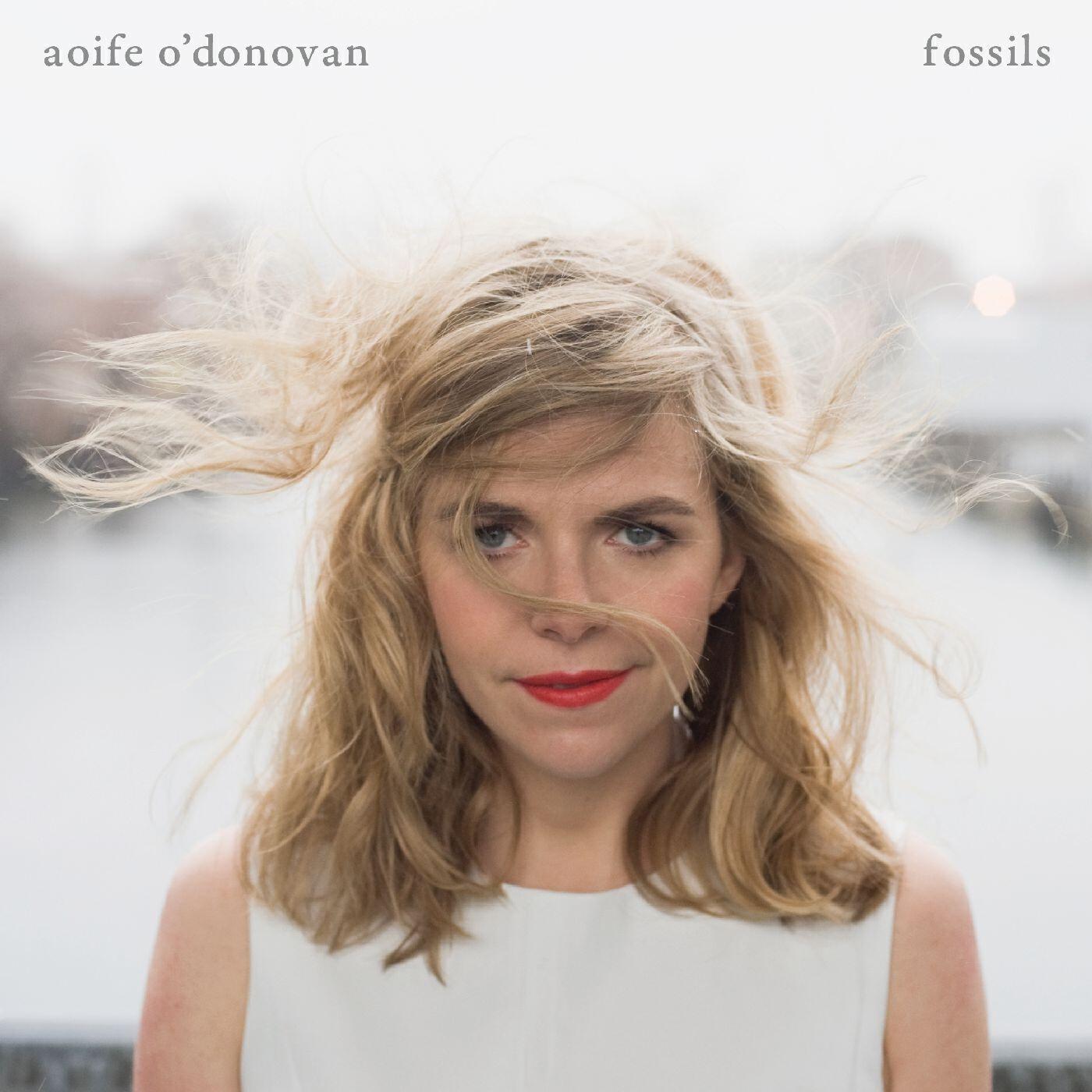 Релиз Fossils