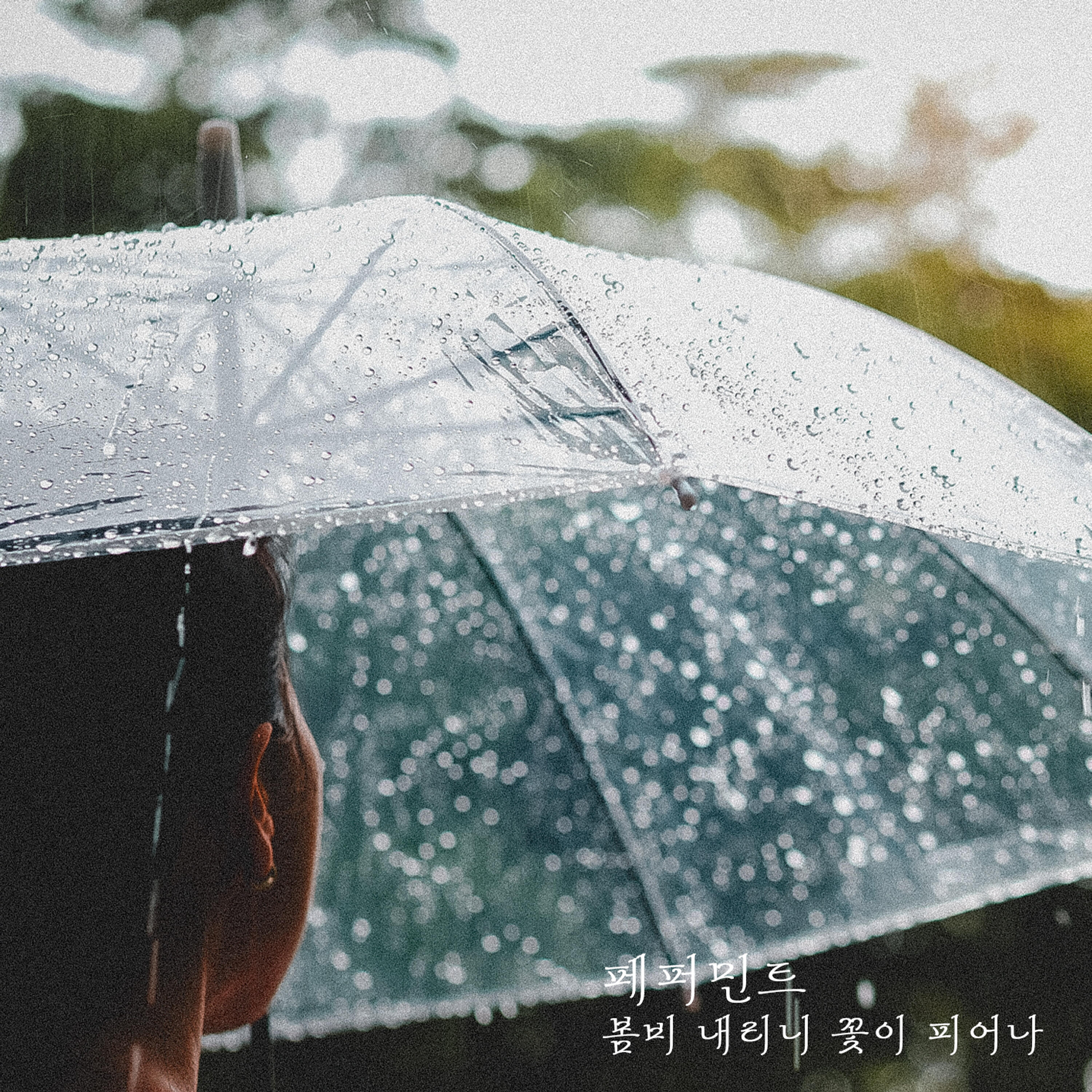림호
