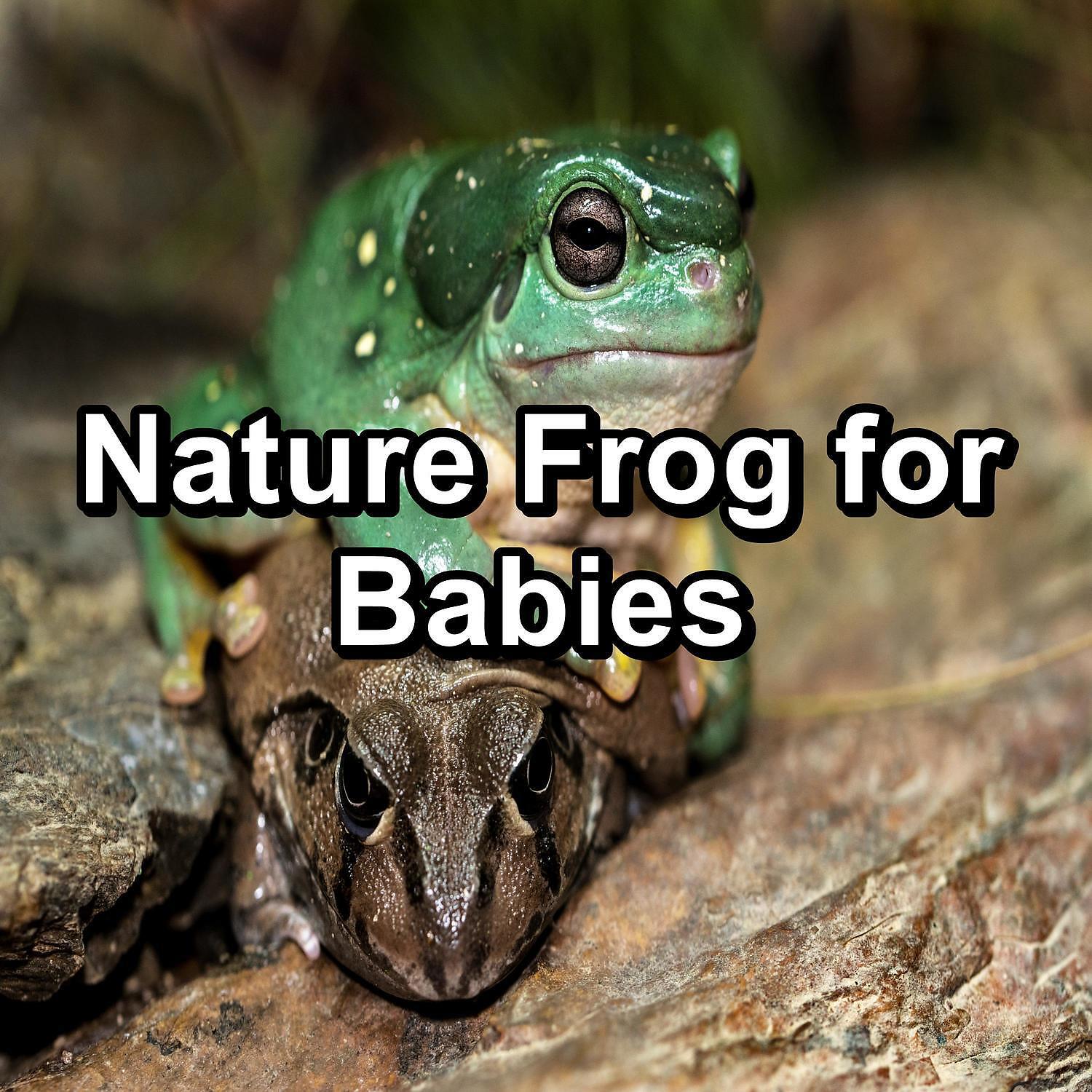 Релиз Nature Frog for Babies