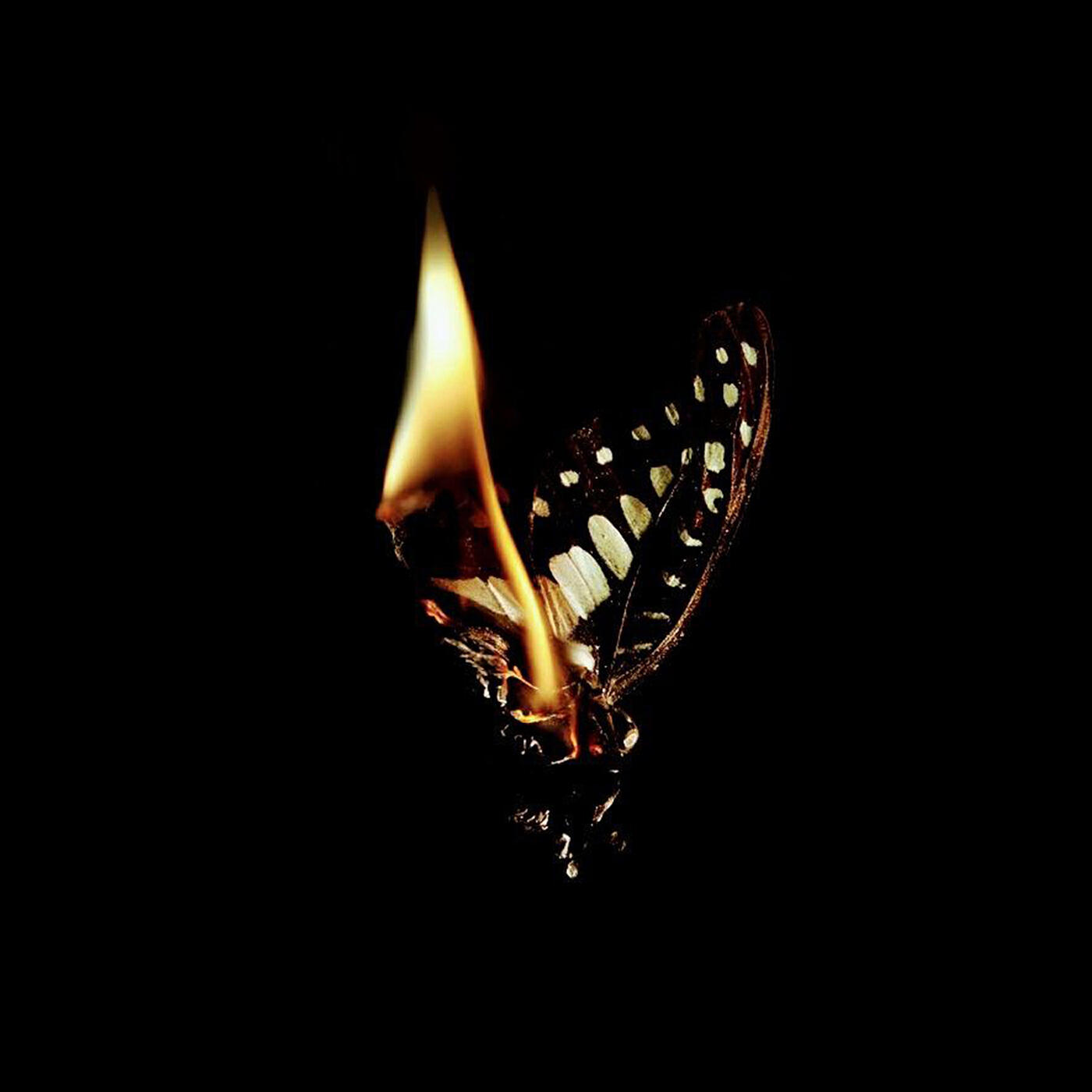 Релиз Flammes
