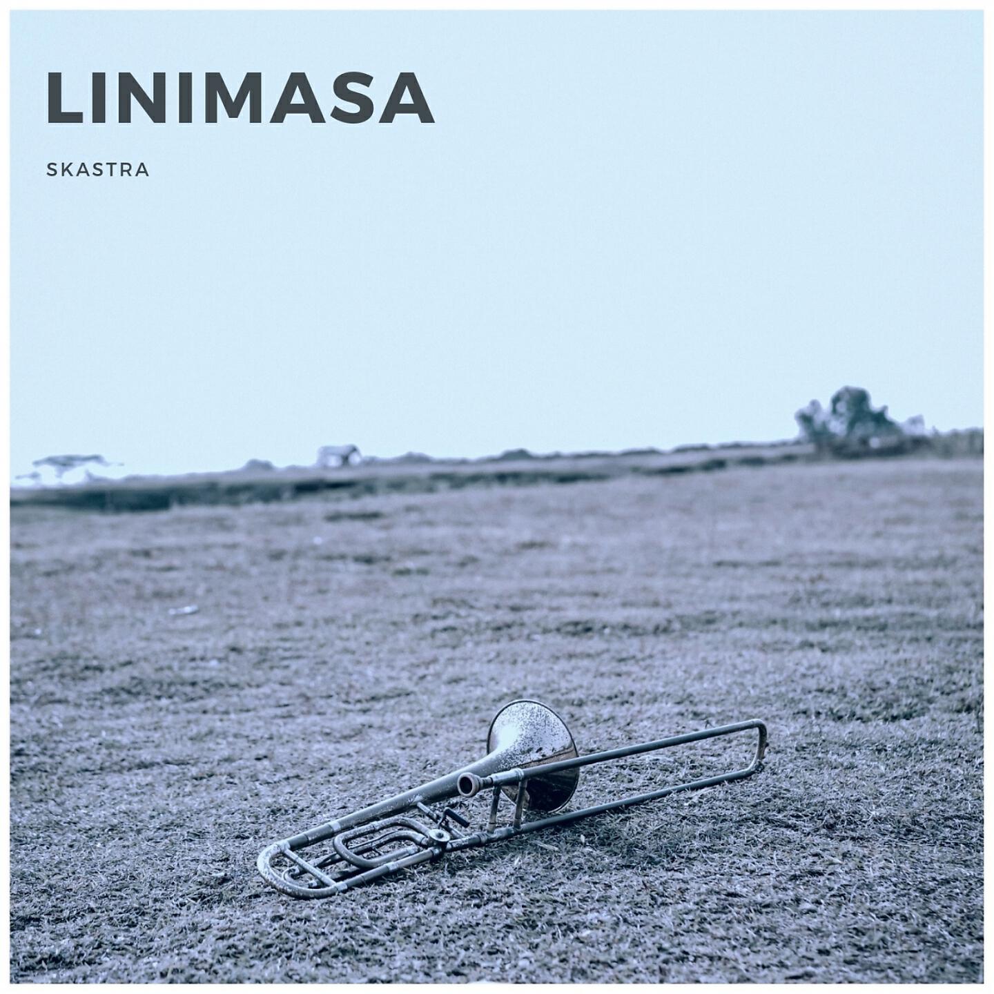 Релиз Linimasa