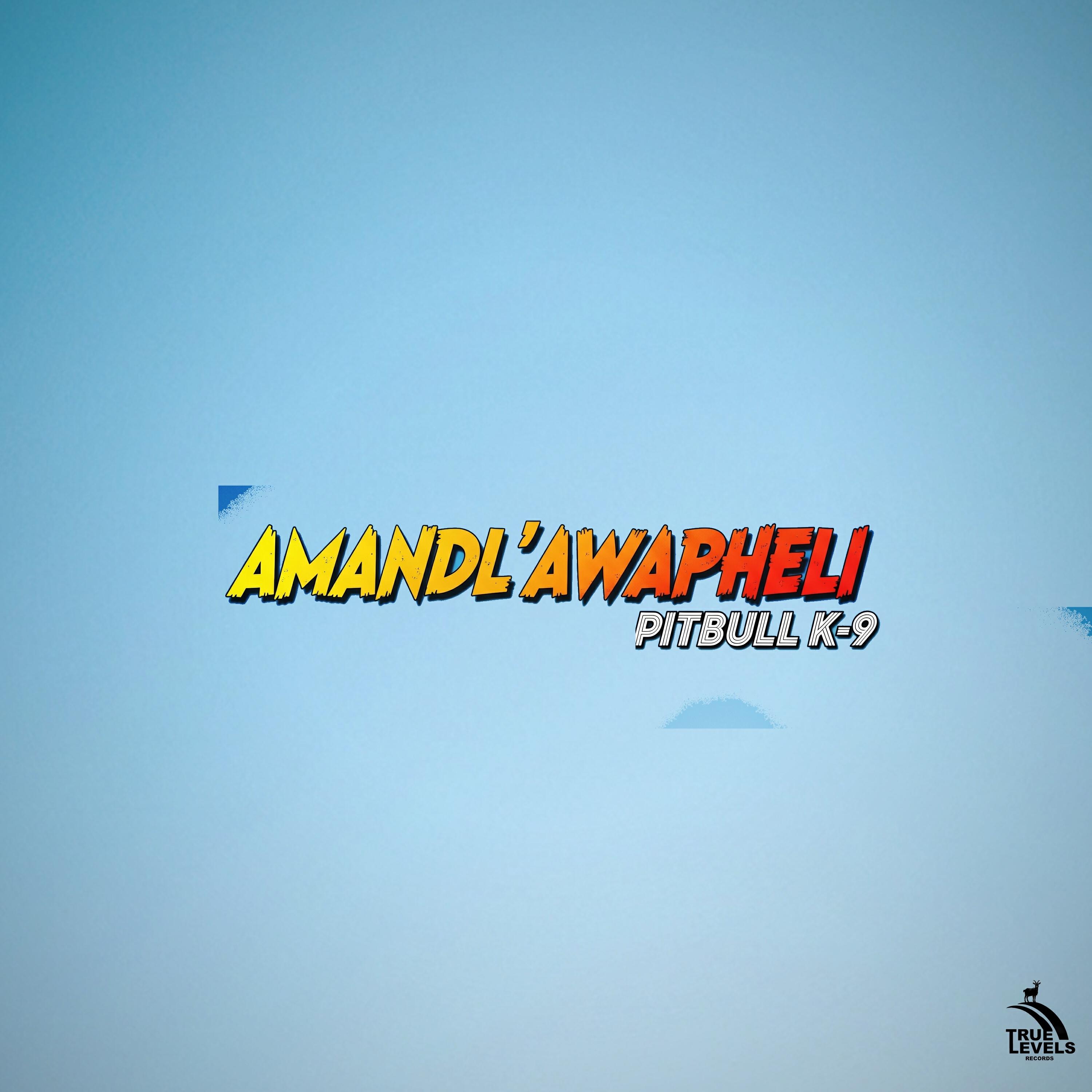 Релиз Amandl'awapheli