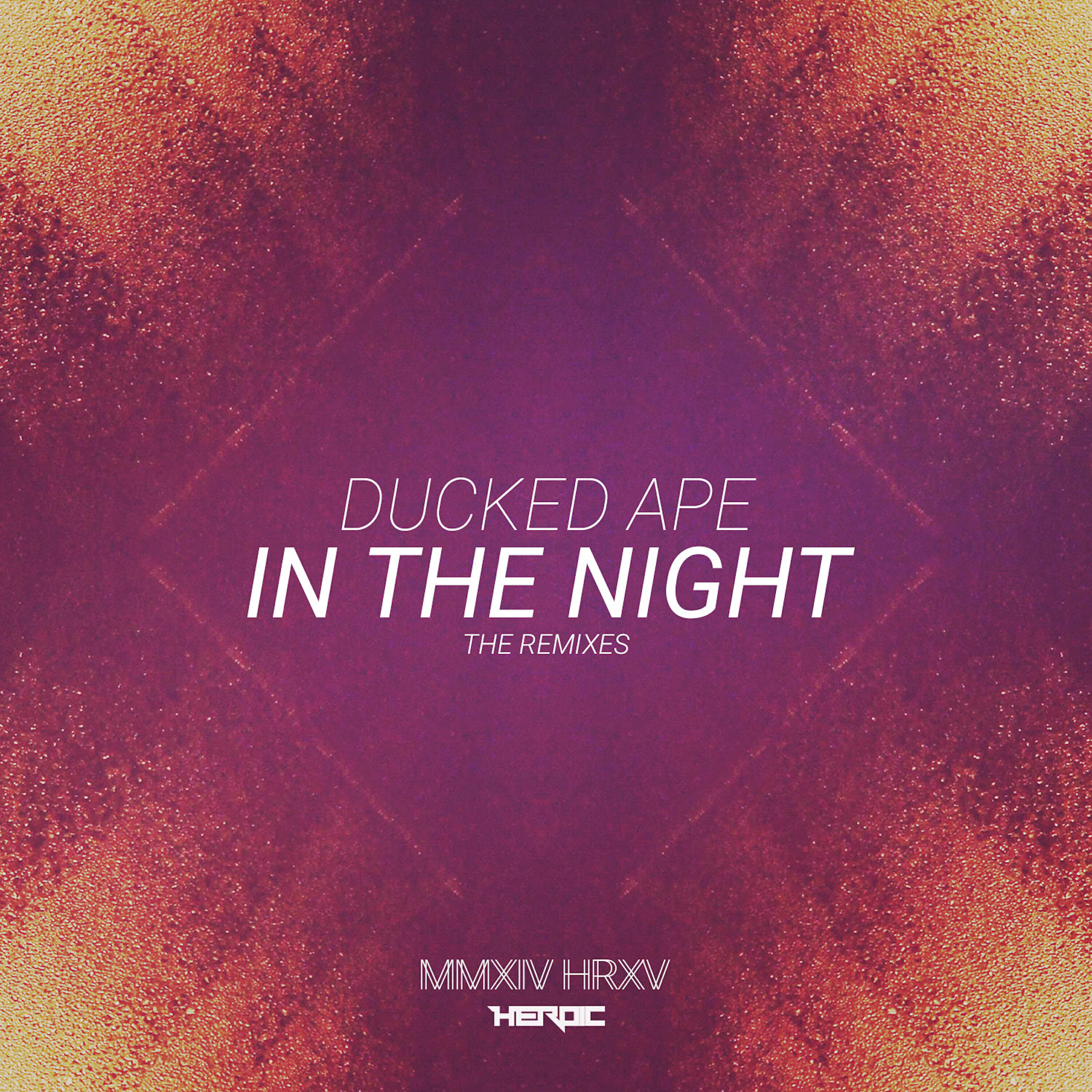 Релиз In The Night Remixes