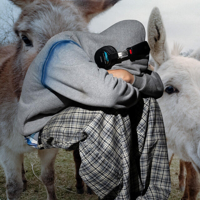 Релиз Doggy (feat. Love Spells and Truly Young)