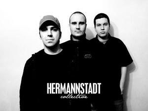 Hermannstadt Collective