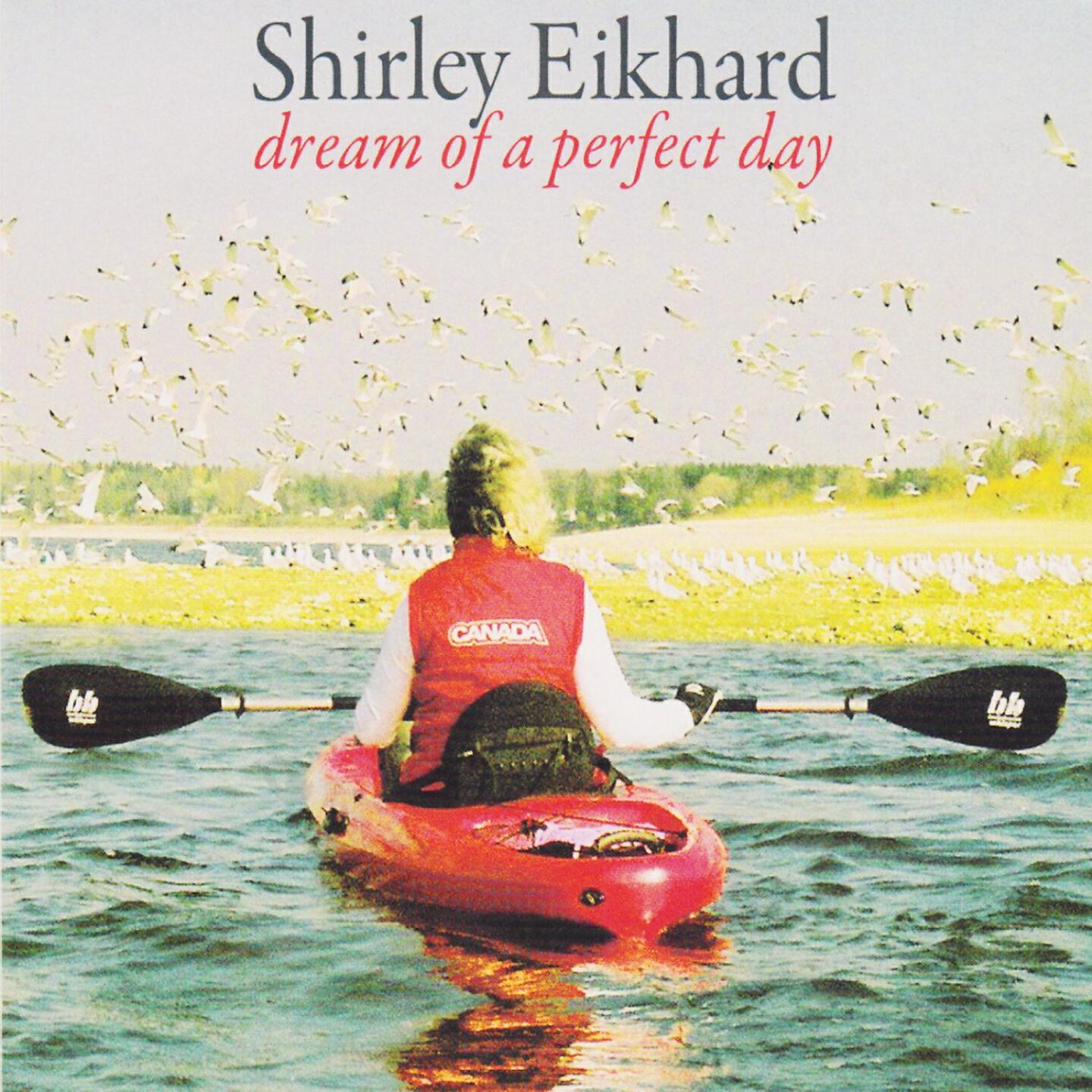 Релиз Dream of a Perfect Day