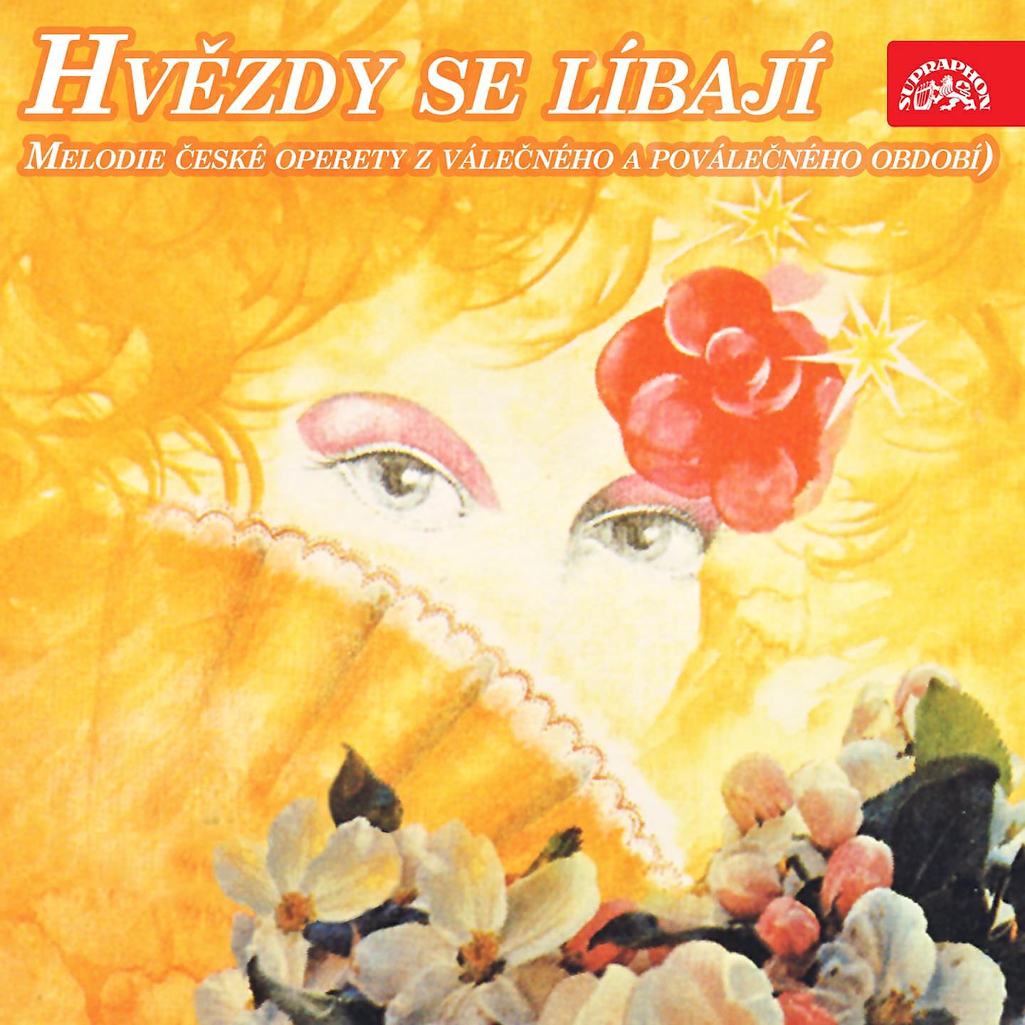 Miroslav Homolka, Dvořák Chamber Orchestra