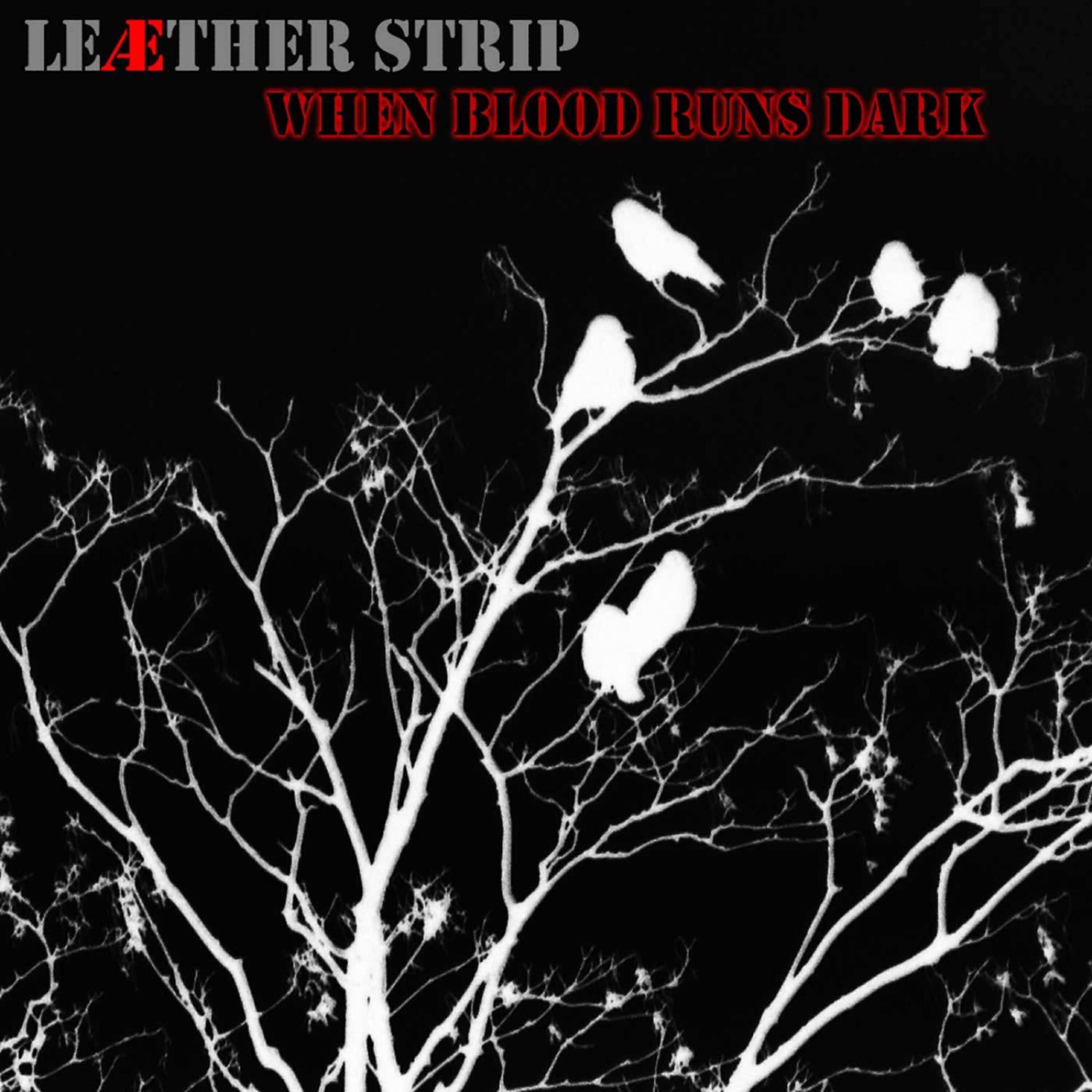 Постер альбома When Blood Runs Dark