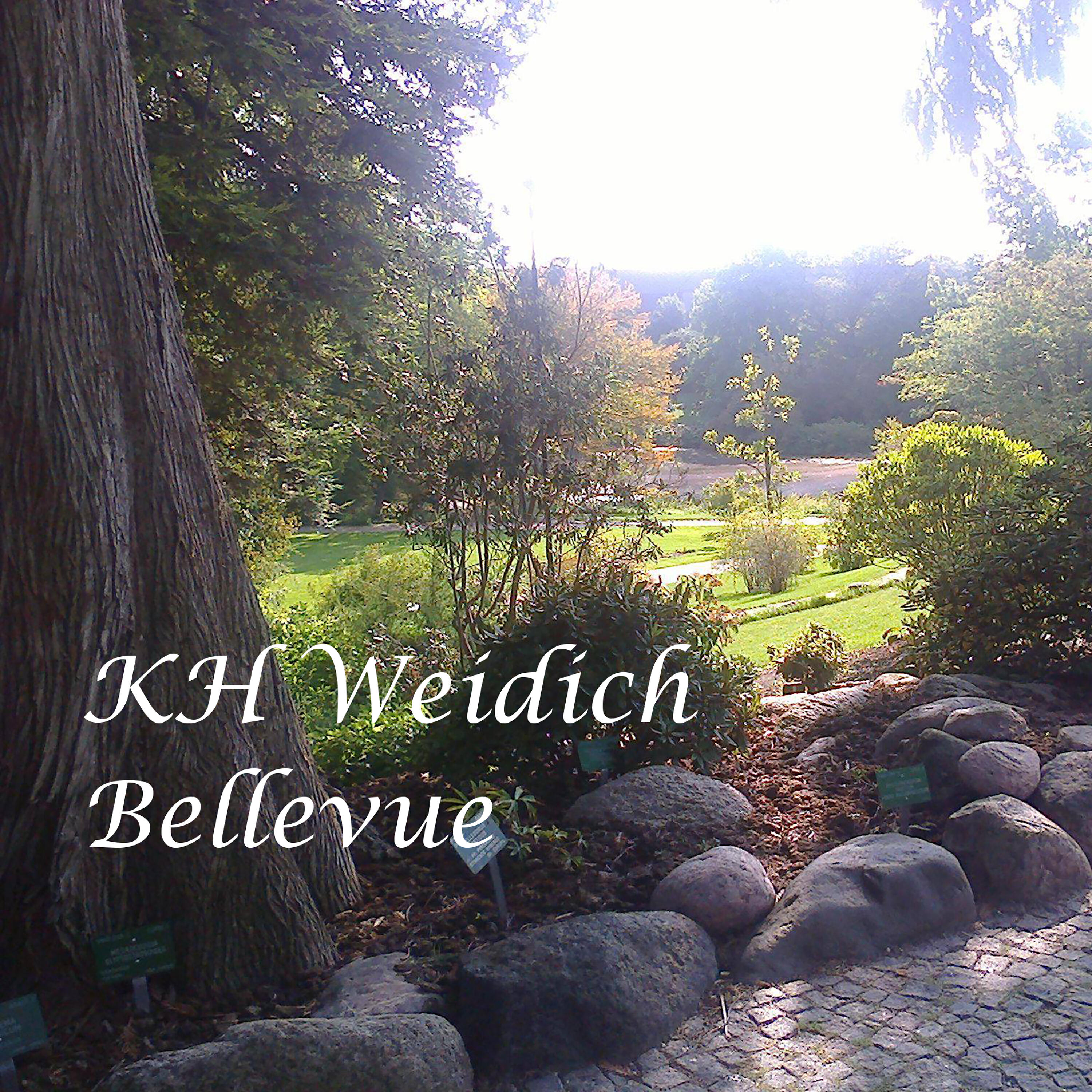Релиз Bellevue