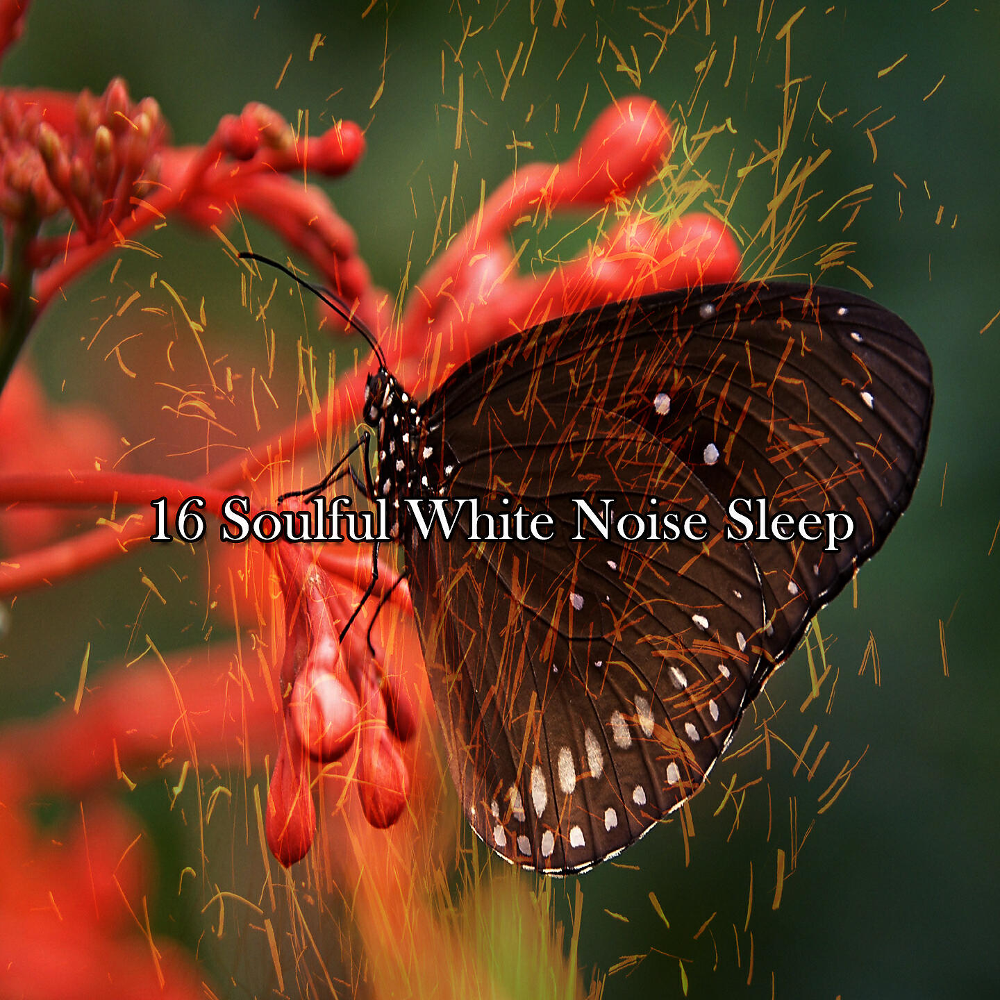 White Noise Therapy; El Ruido Blanco