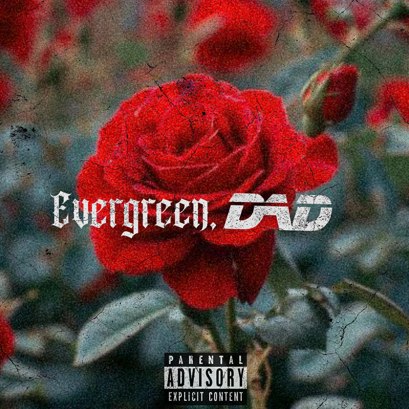 Релиз Evergreen, Dad
