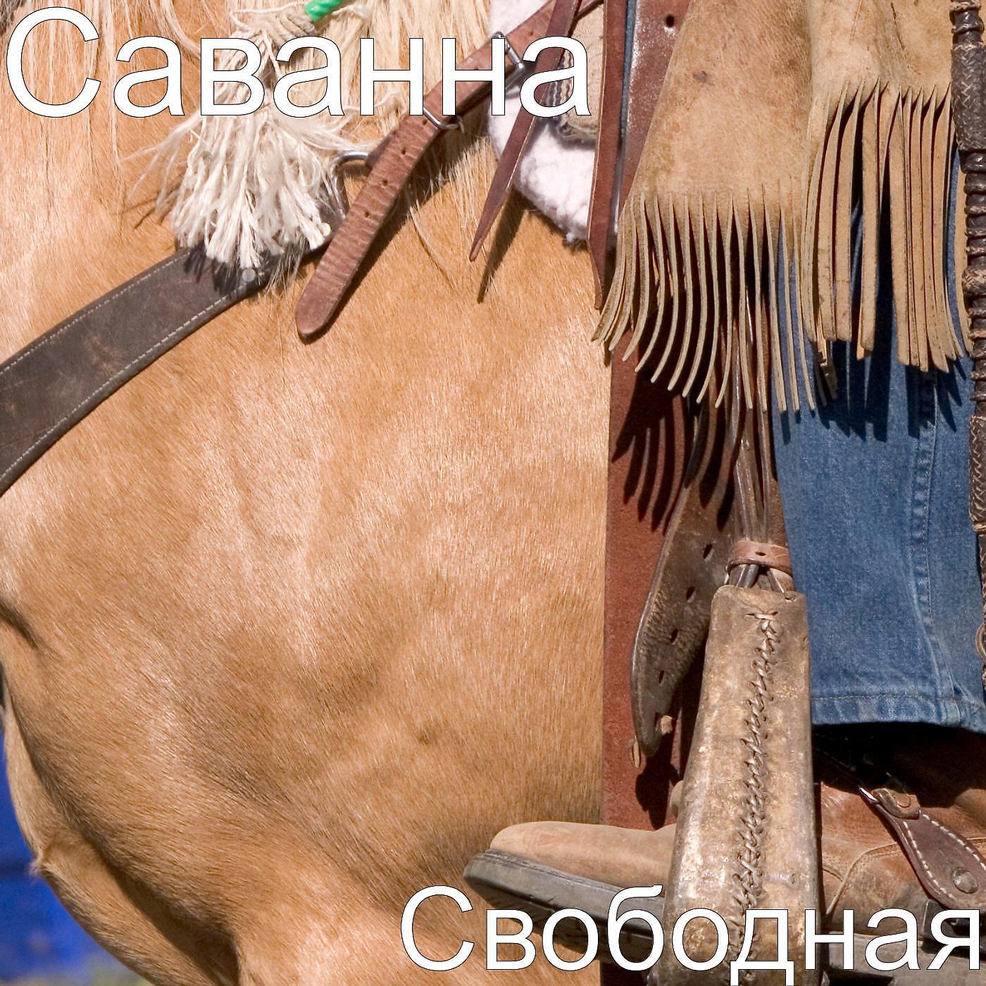 Постер альбома Свободная