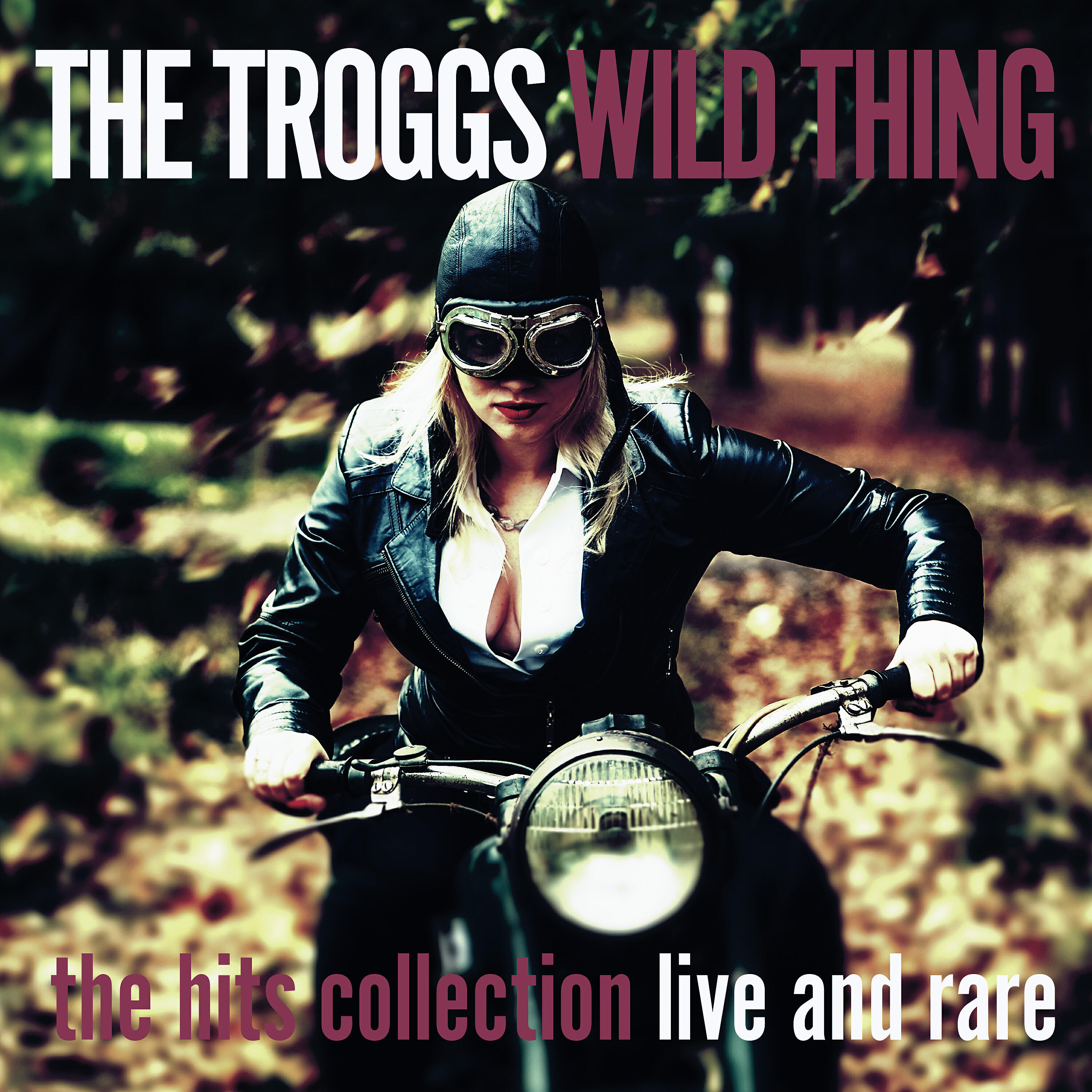 Релиз Wild Thing - the Hits Collection - Live and Rare