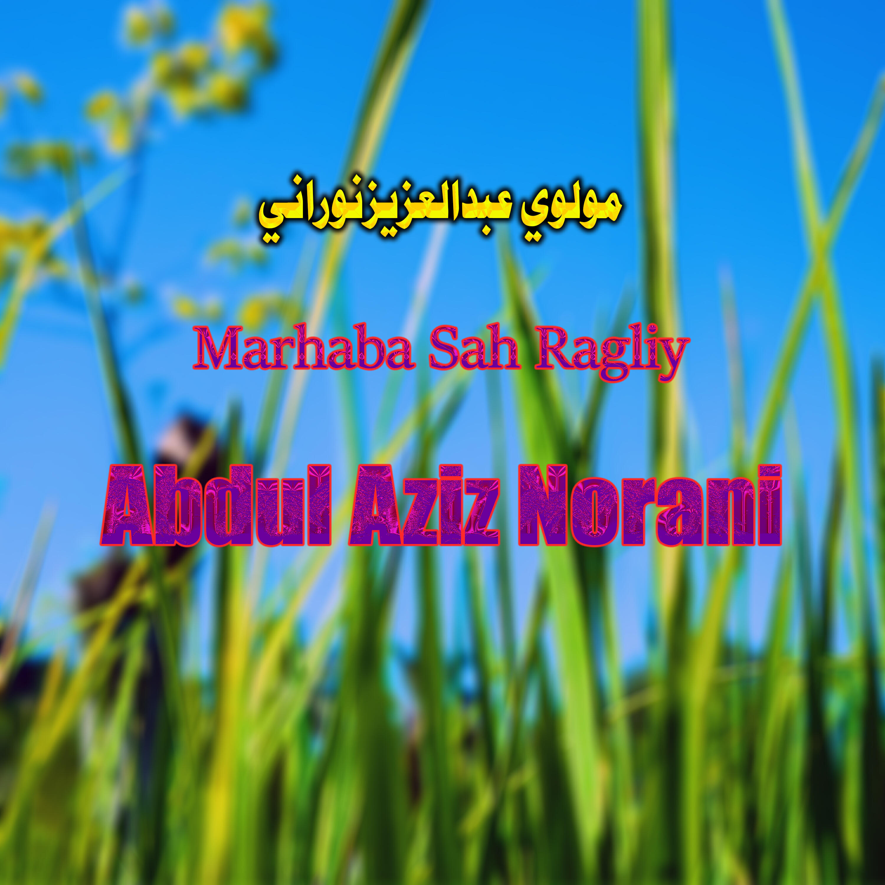 Релиз Marhaba Sah Ragliy