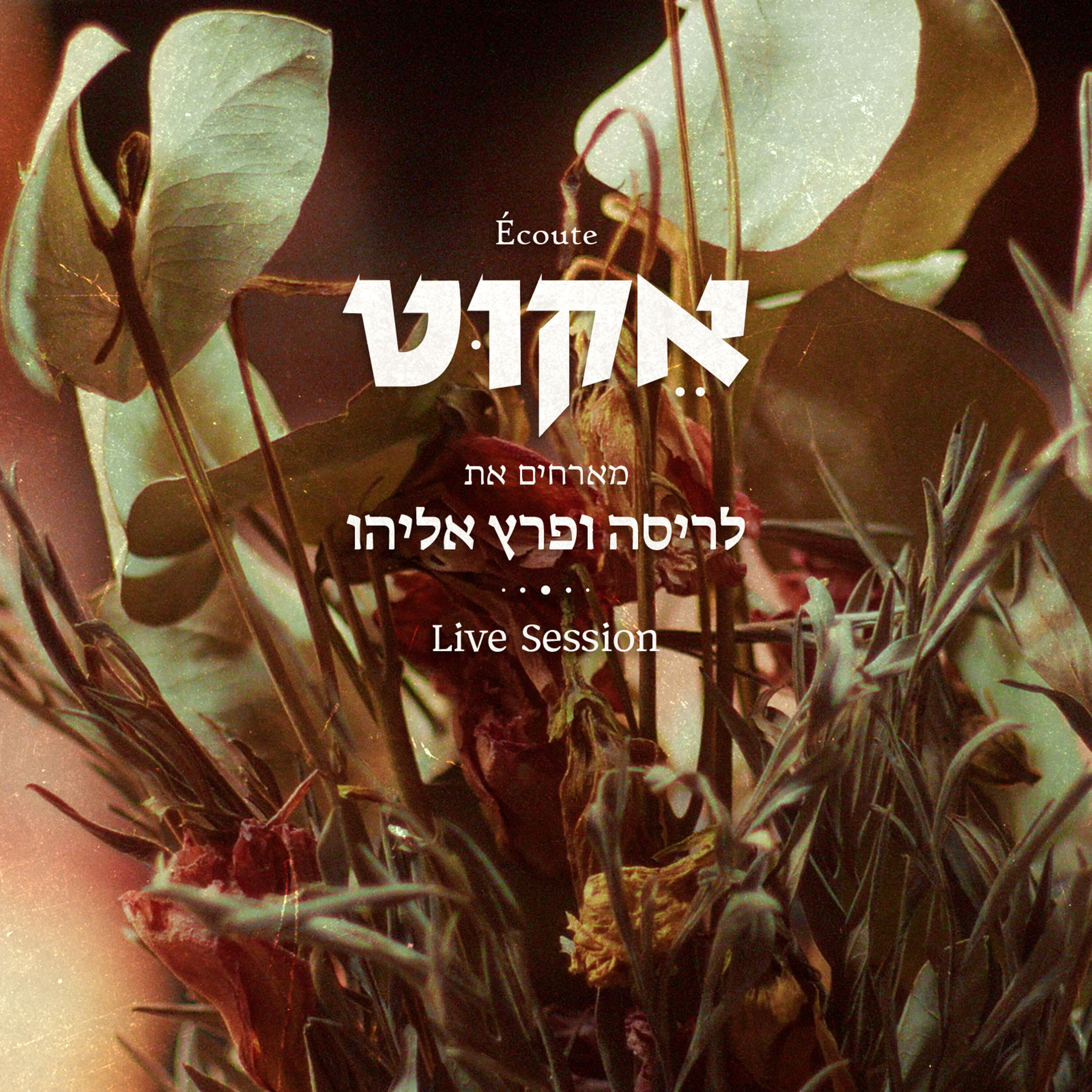 Piris Eliyahu