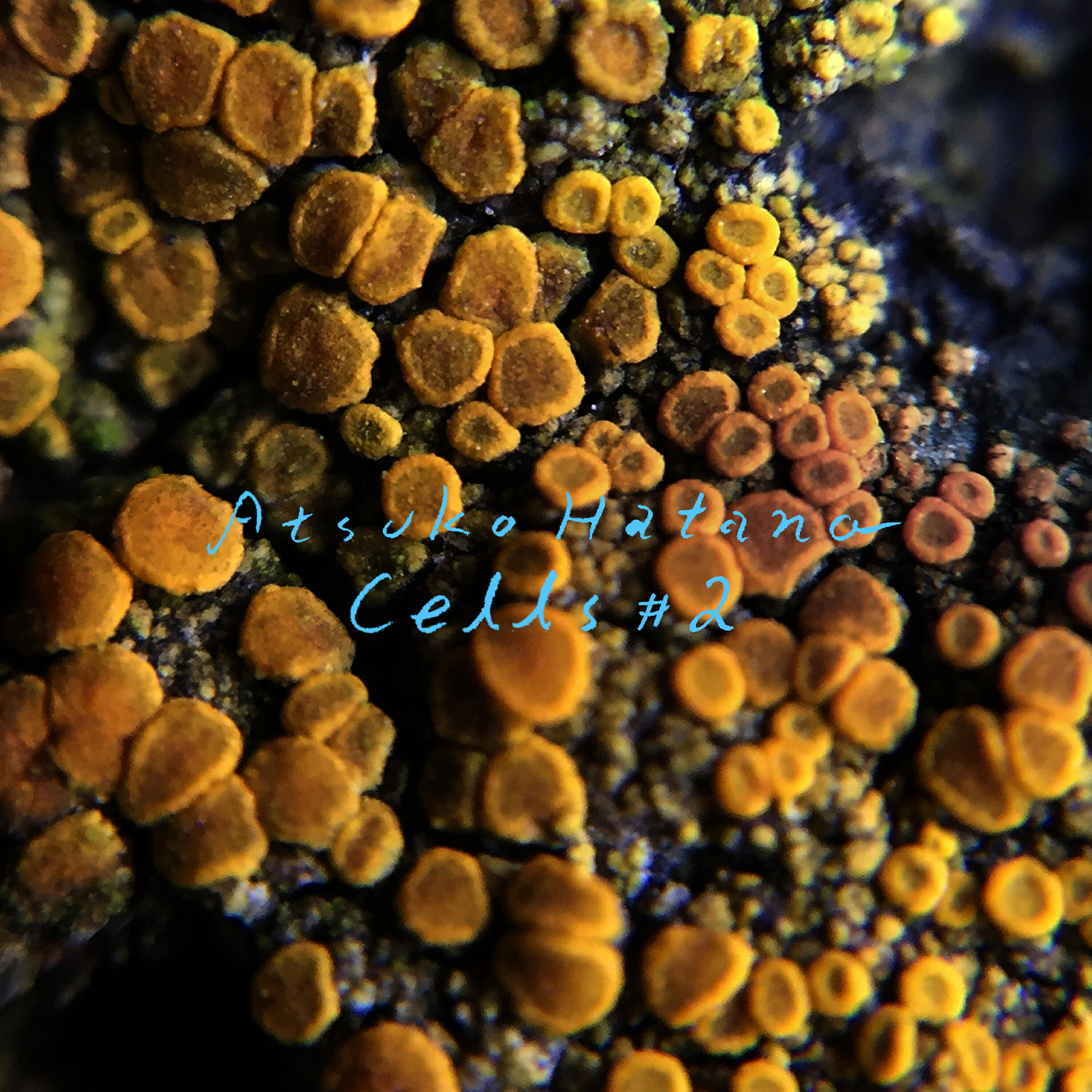 Релиз Cells #2