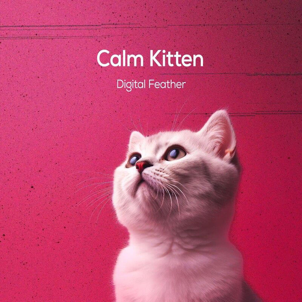 Релиз Calm Kitten