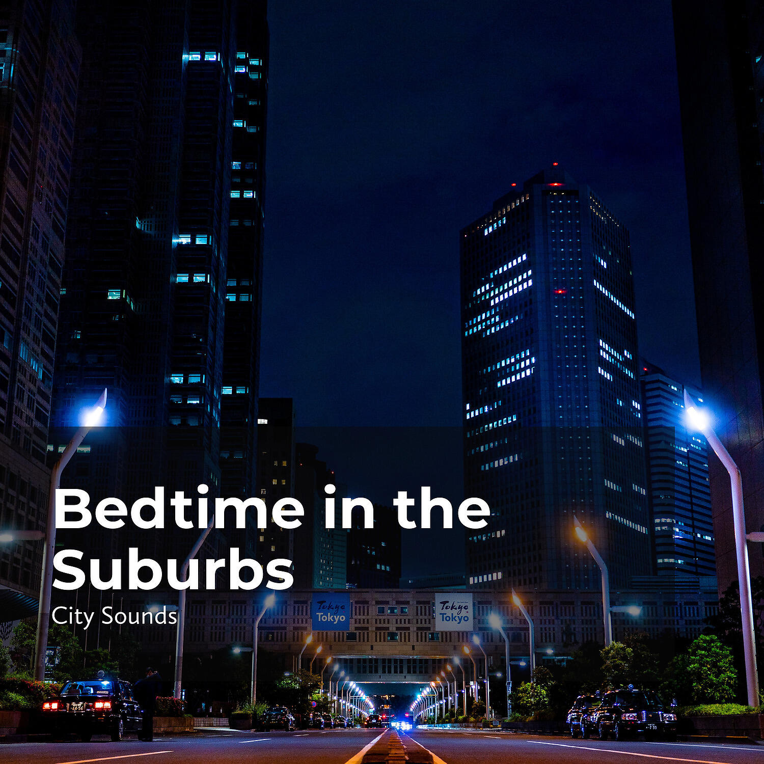 Релиз Bedtime in the Suburbs