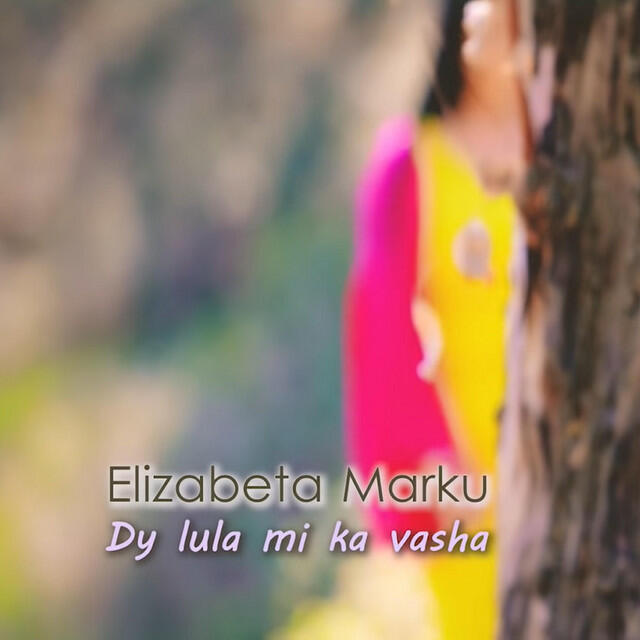 Релиз Dy Lule Mi Ka Vasha