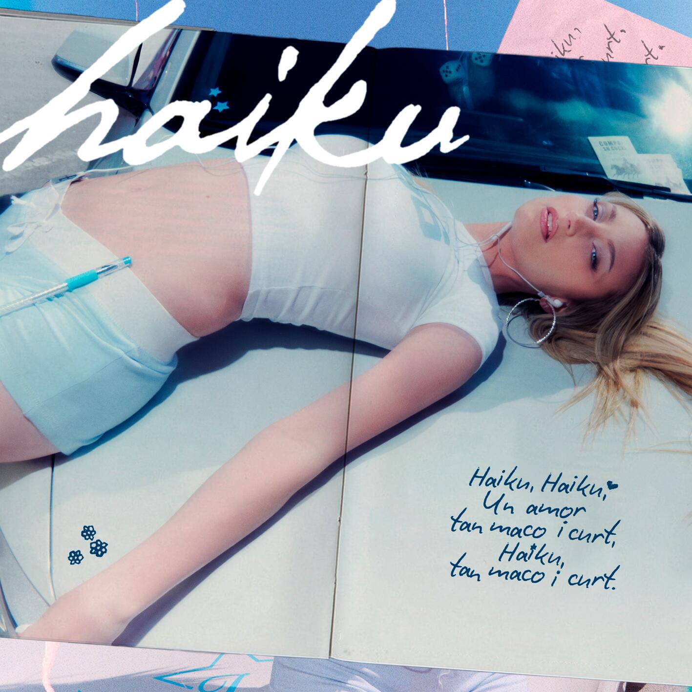 Релиз haiku