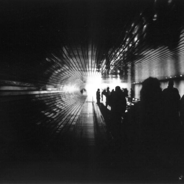 Релиз Still Lifes Are Failing