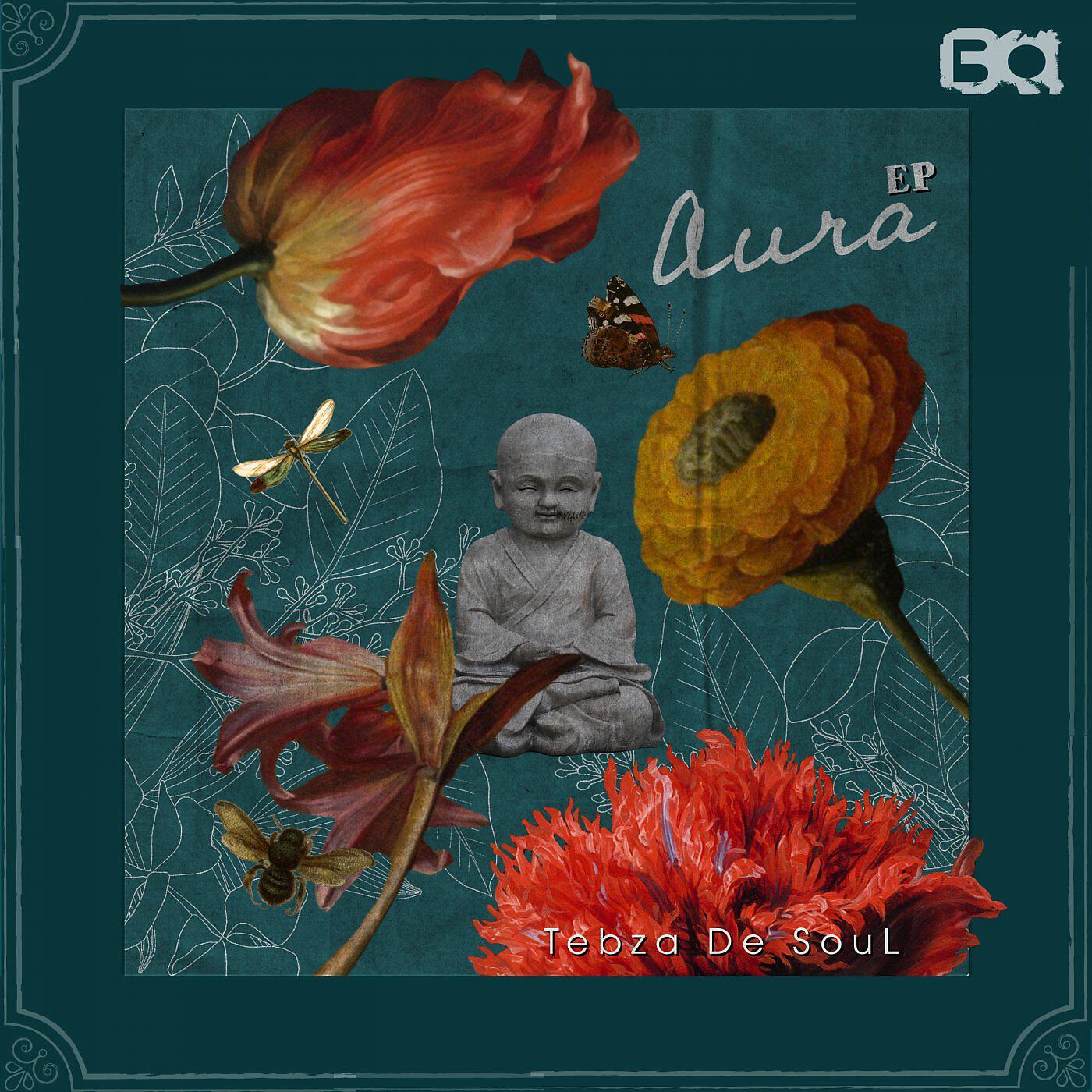 Постер альбома Aura
