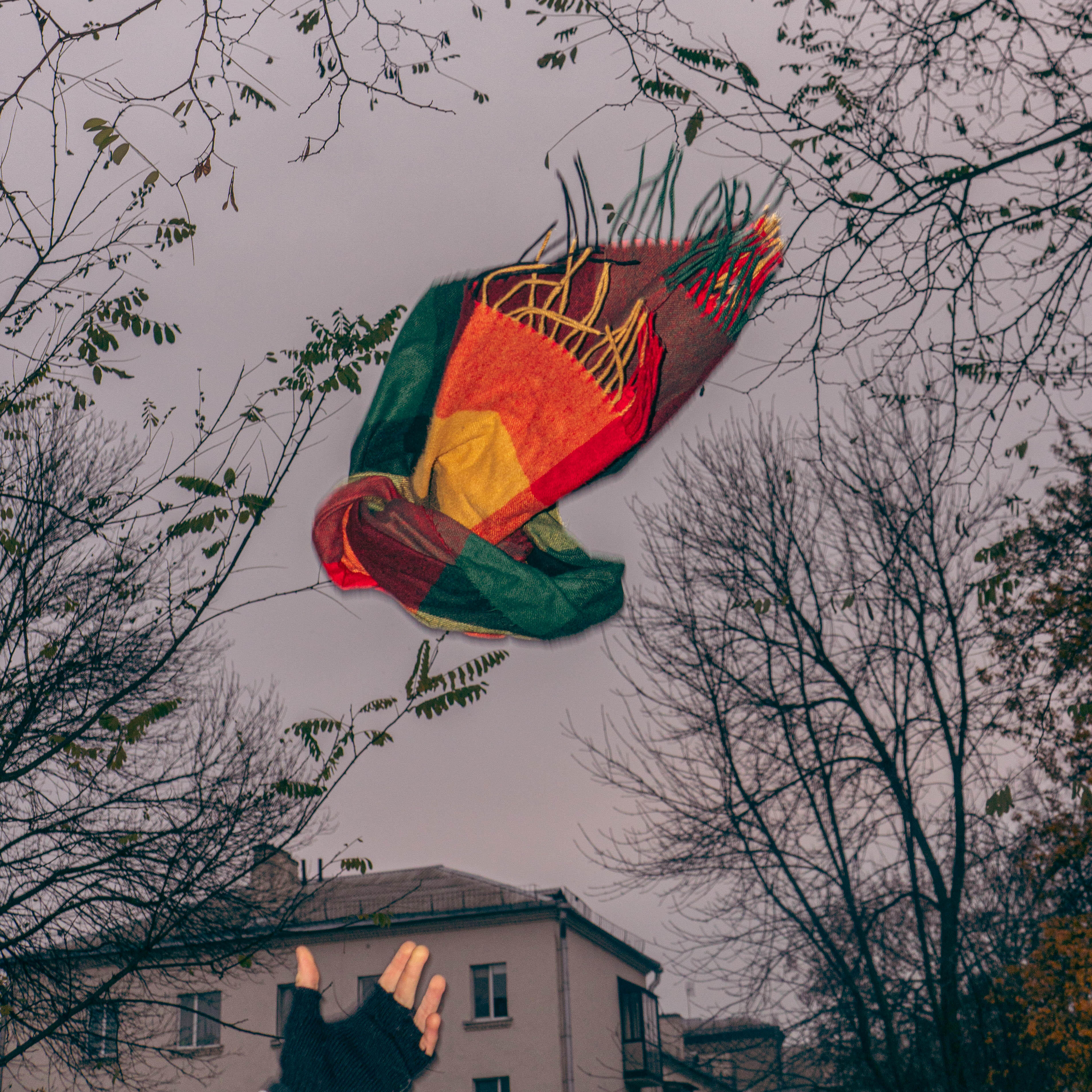 Релиз Шарф