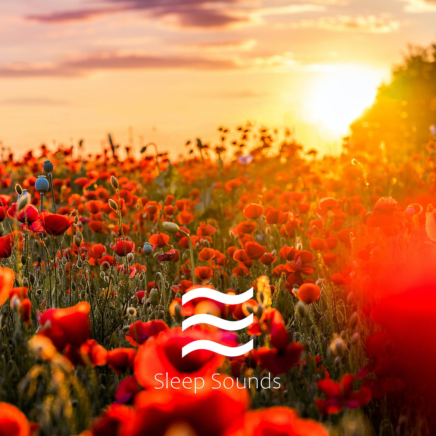 Sonidos serenos de ruidos calmantes