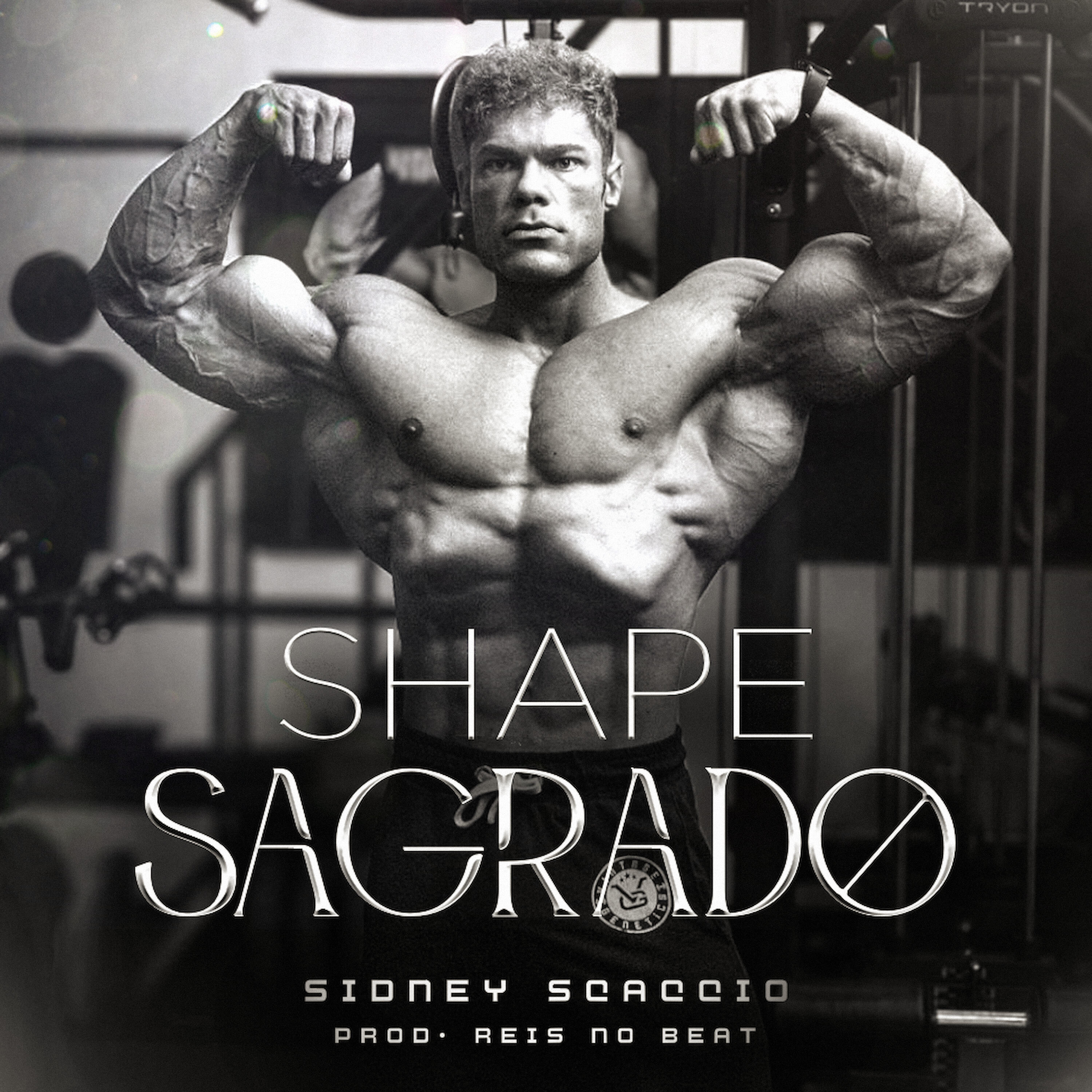 Релиз Shape Sagrado