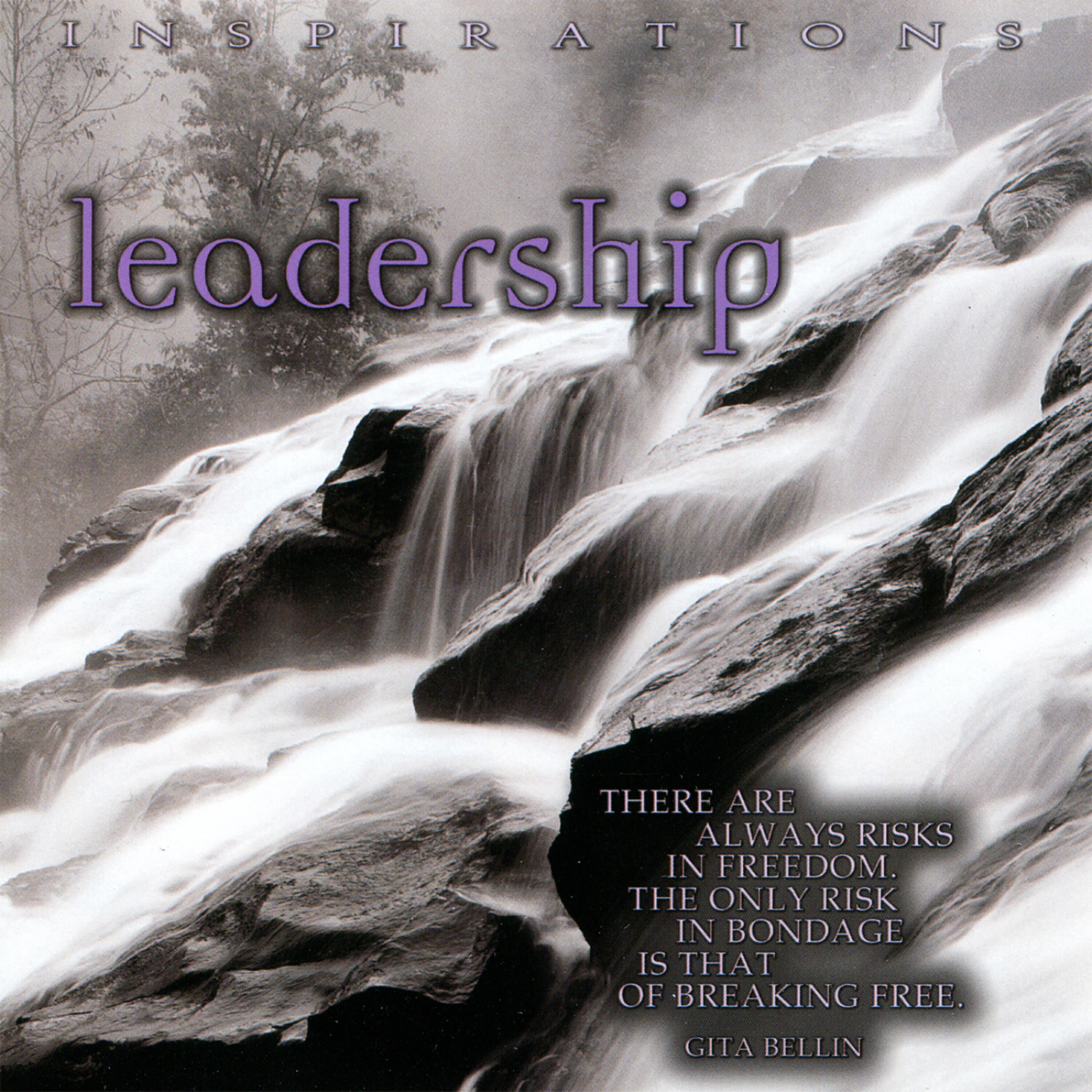Релиз Inspirations - Leadership