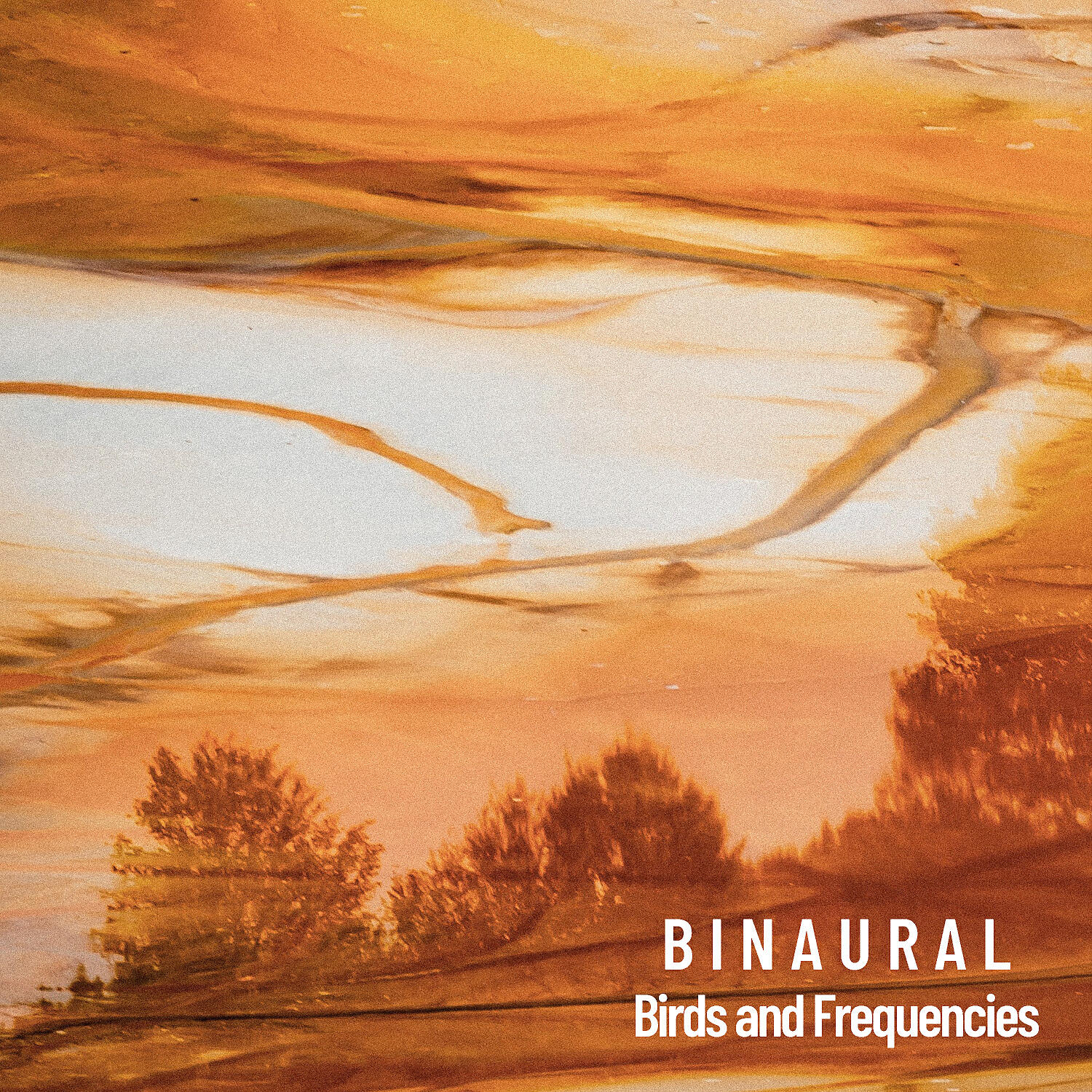 Релиз Binaural: Birds and Frequencies
