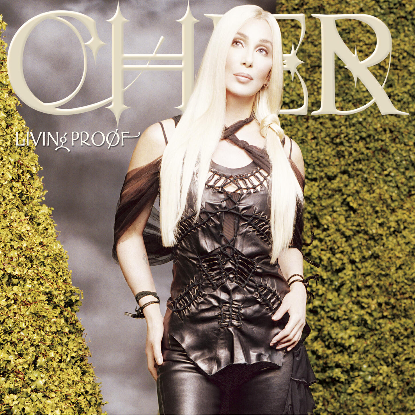 Релиз Living Proof (Deluxe Edition)
