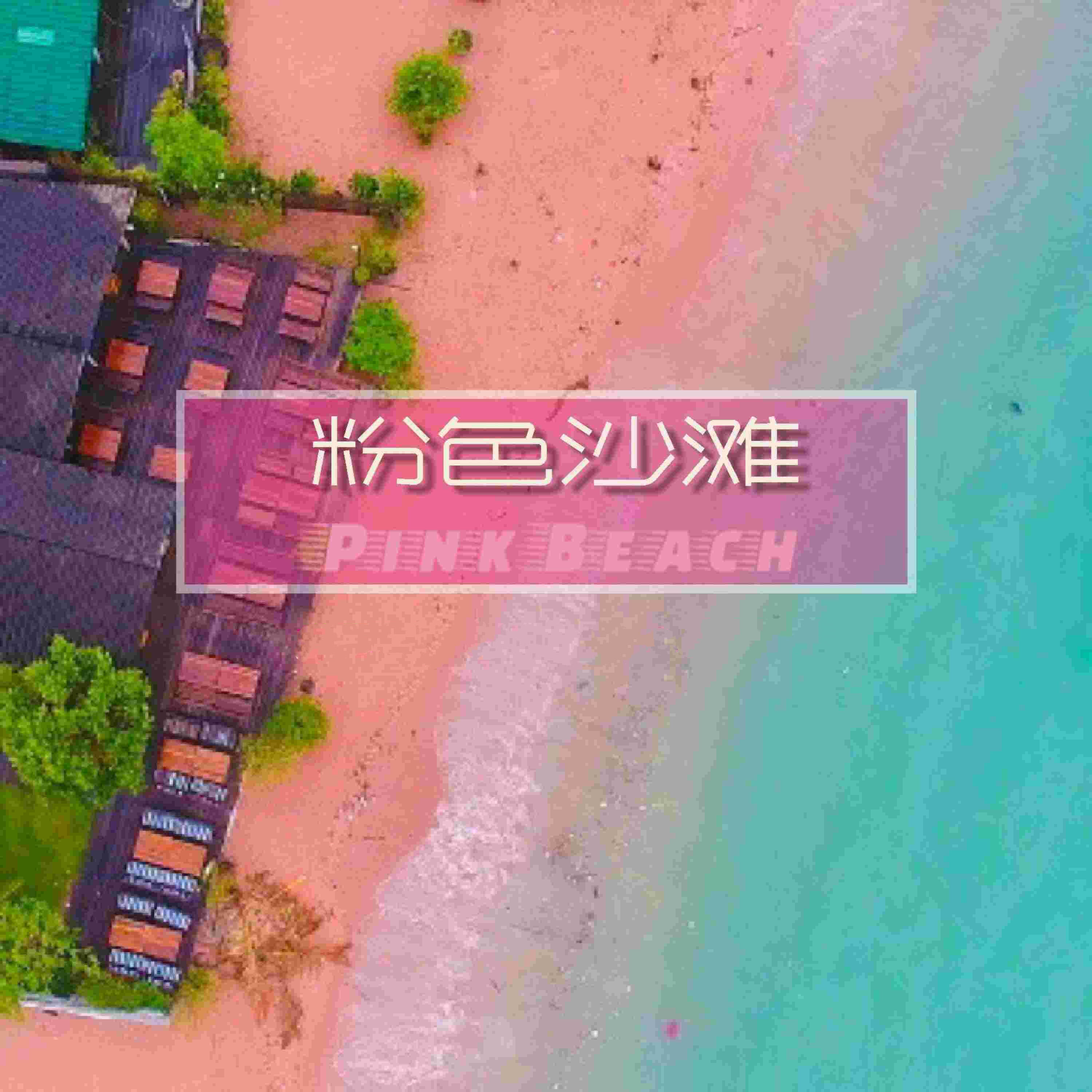 Релиз 粉色沙滩