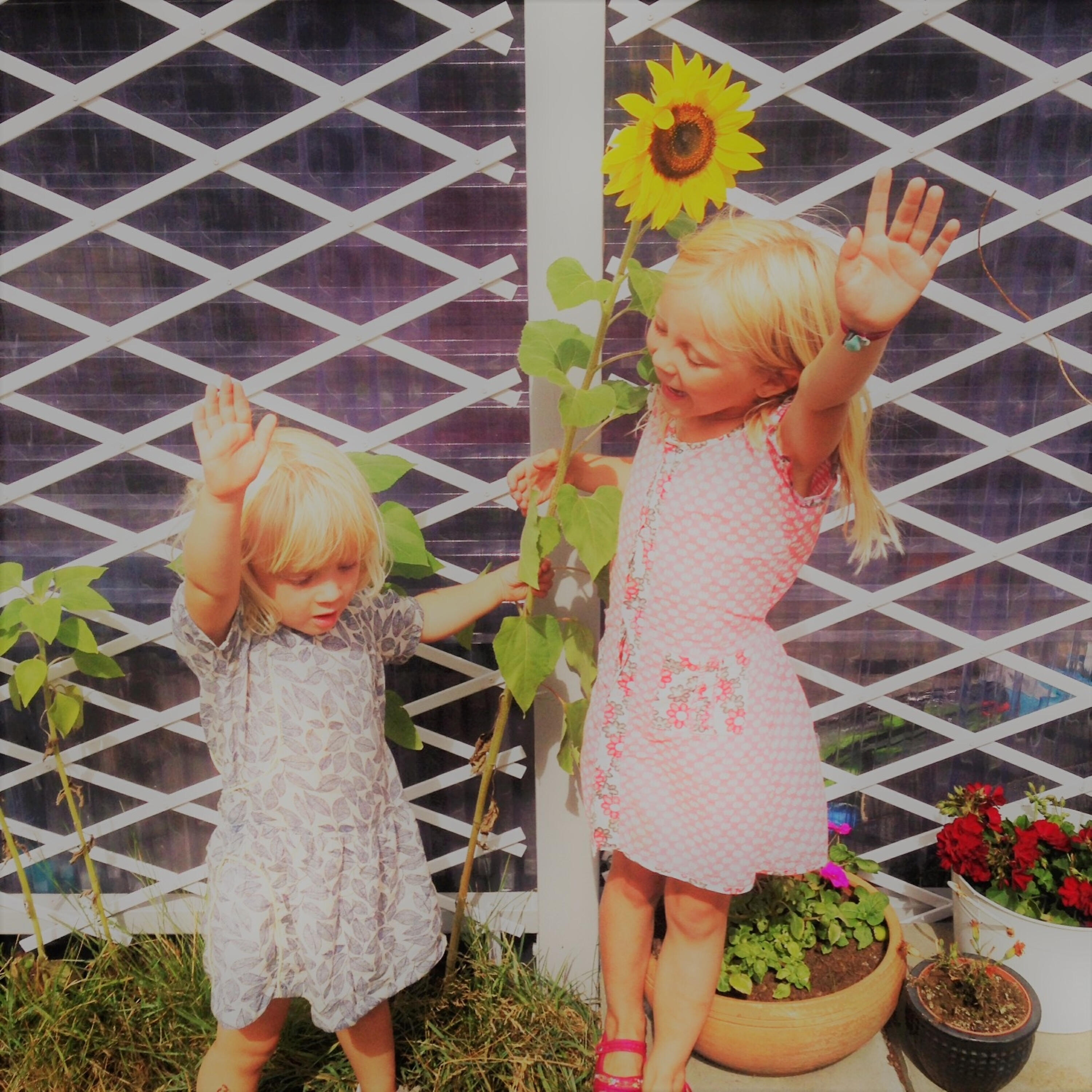 Релиз Summer Retrospect