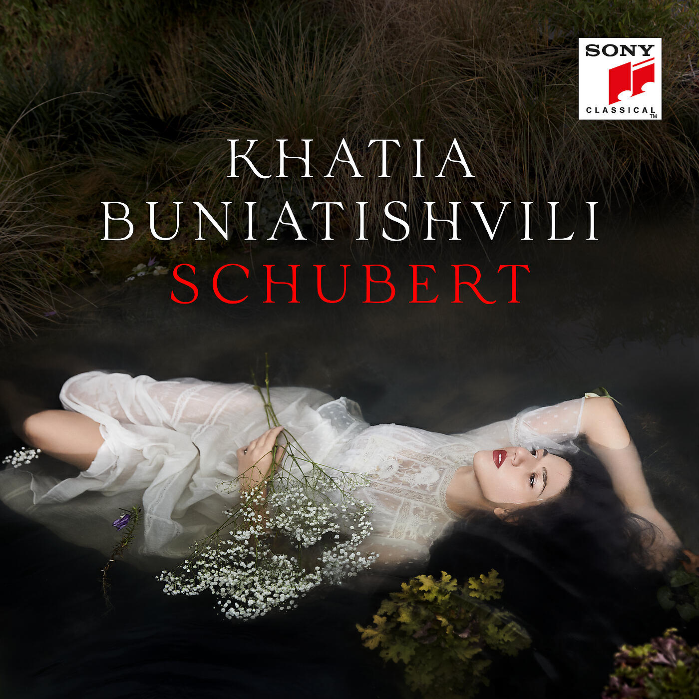 Релиз Schubert