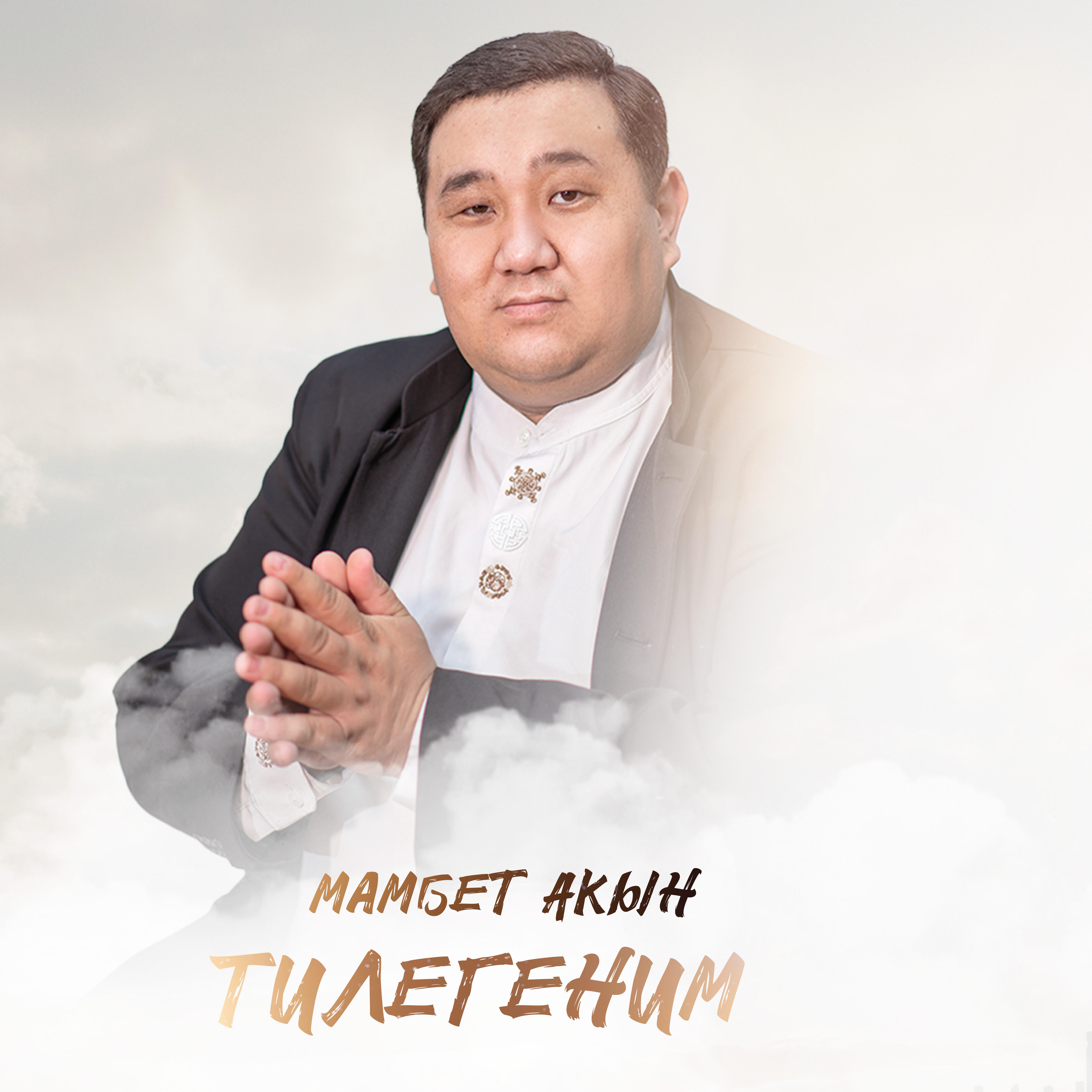 Релиз Тилегеним