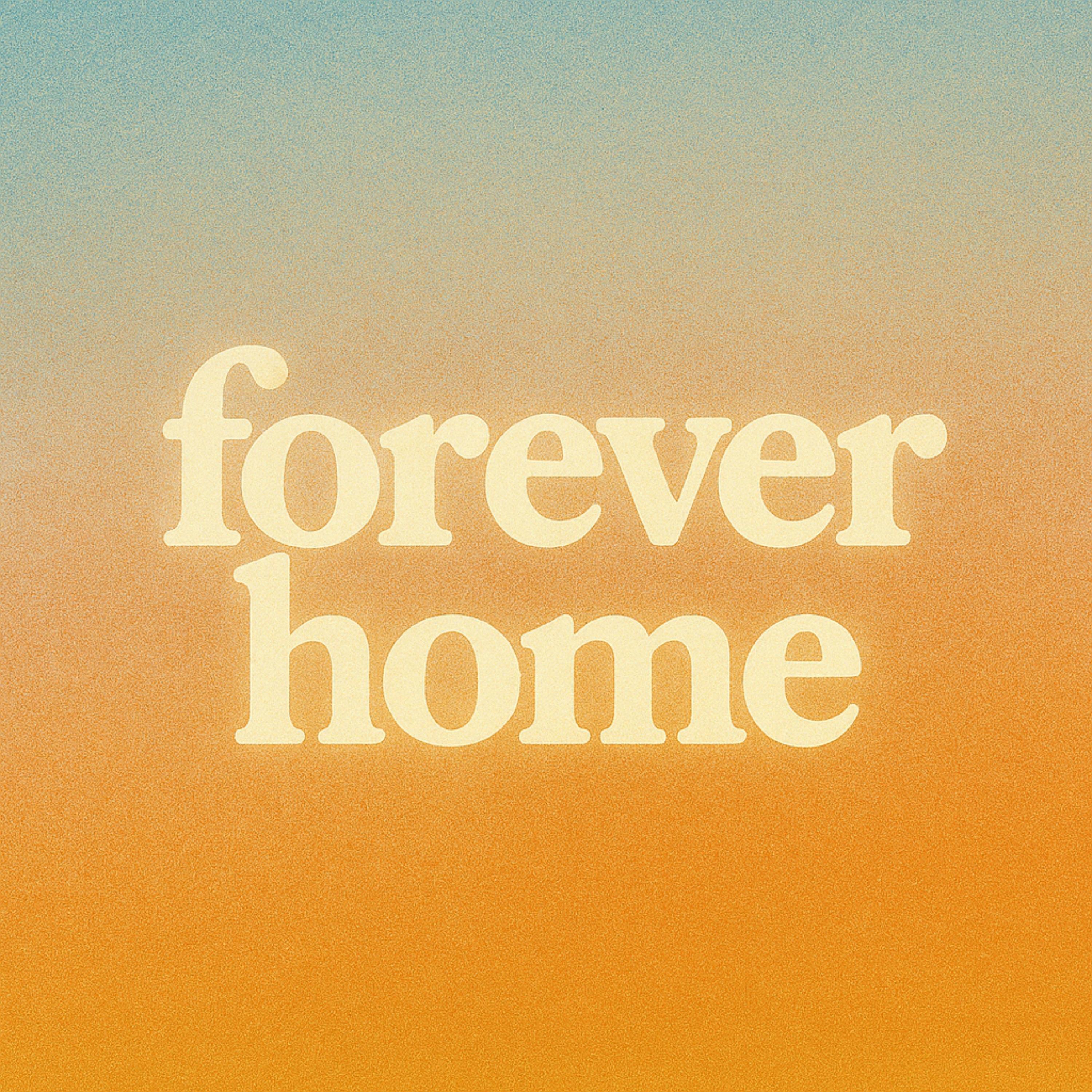 Релиз forever home
